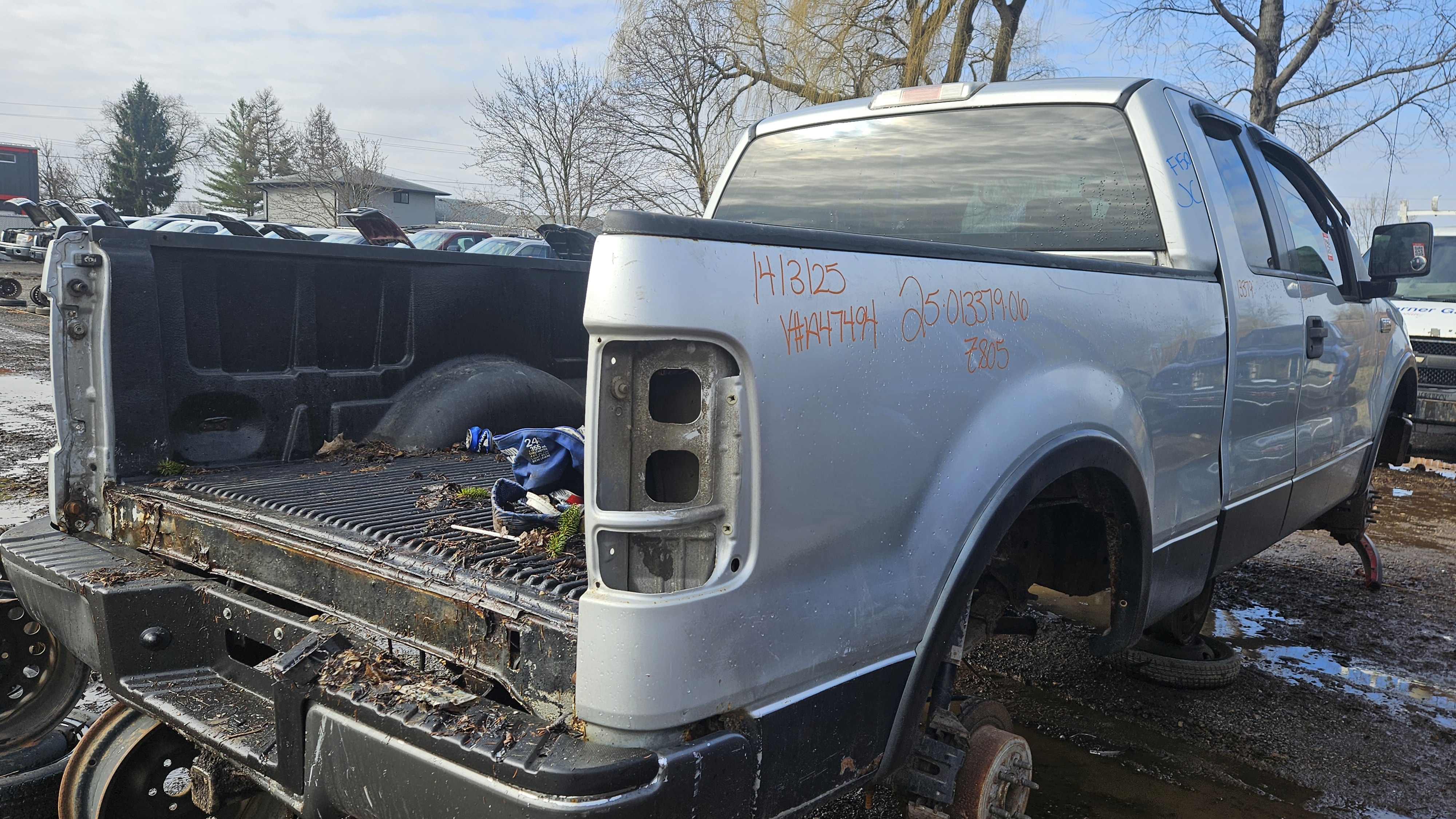FORD F-150 2006