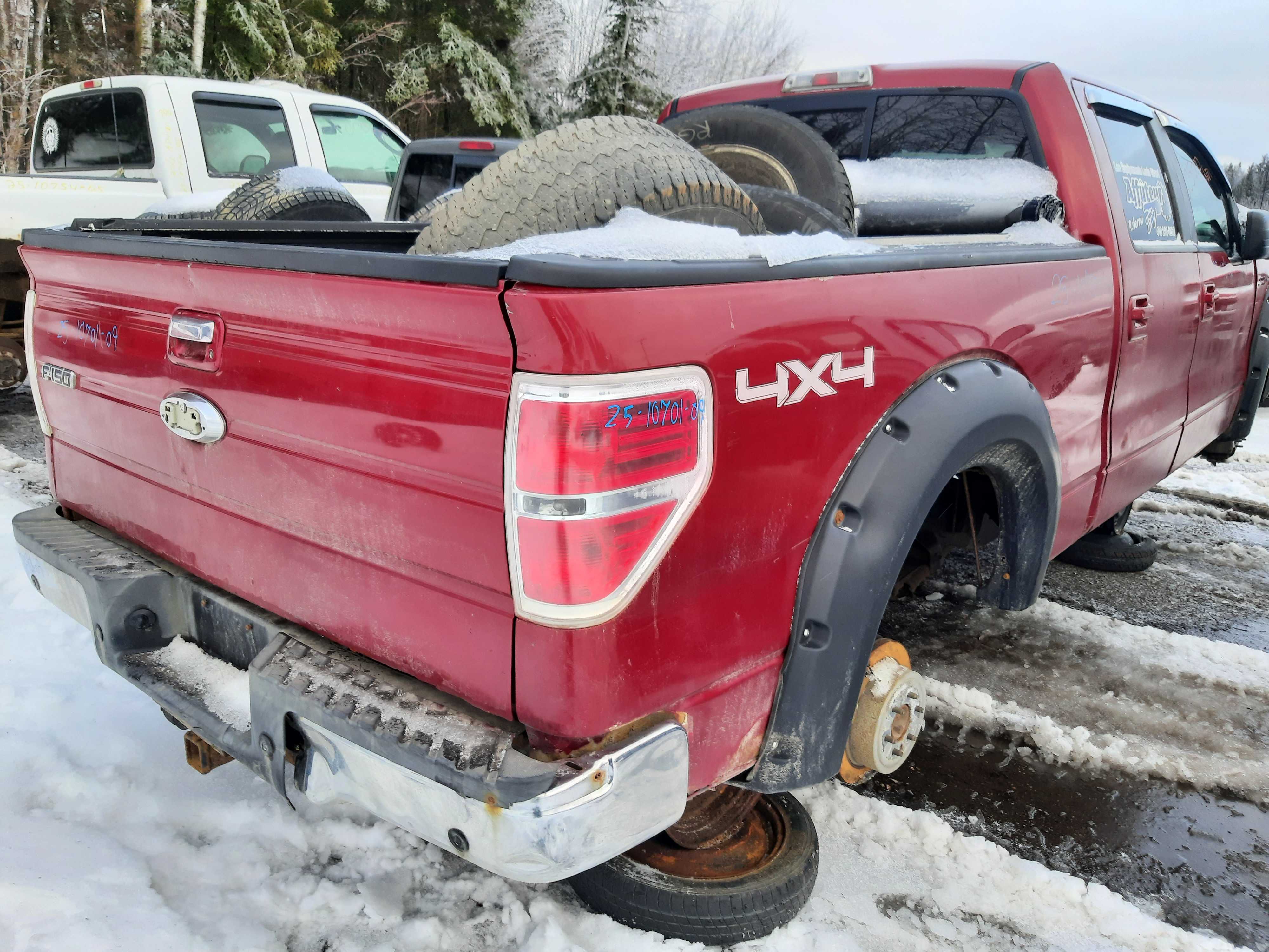 FORD F-150 2009