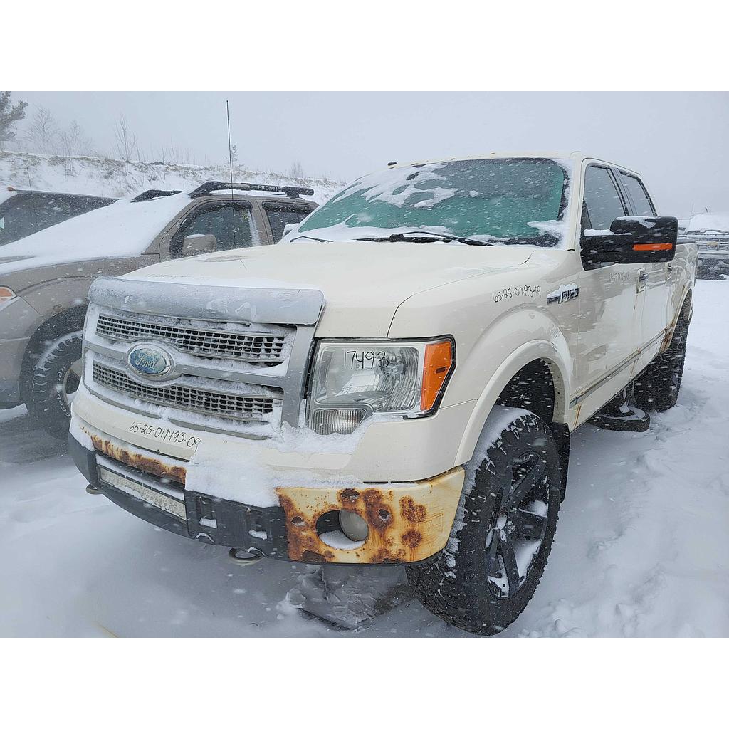 FORD F-150 2009