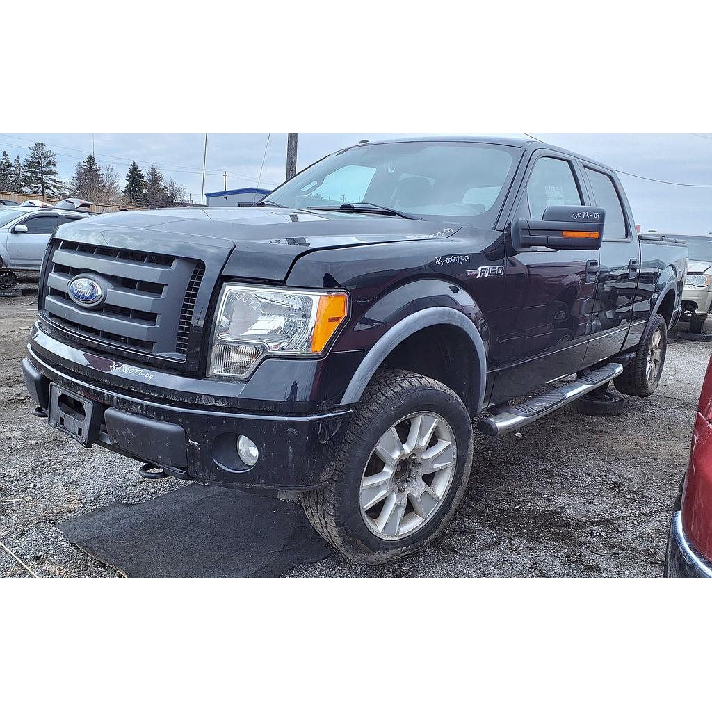 FORD F-150 2009
