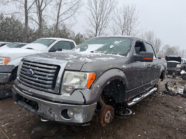 FORD F-150 2010