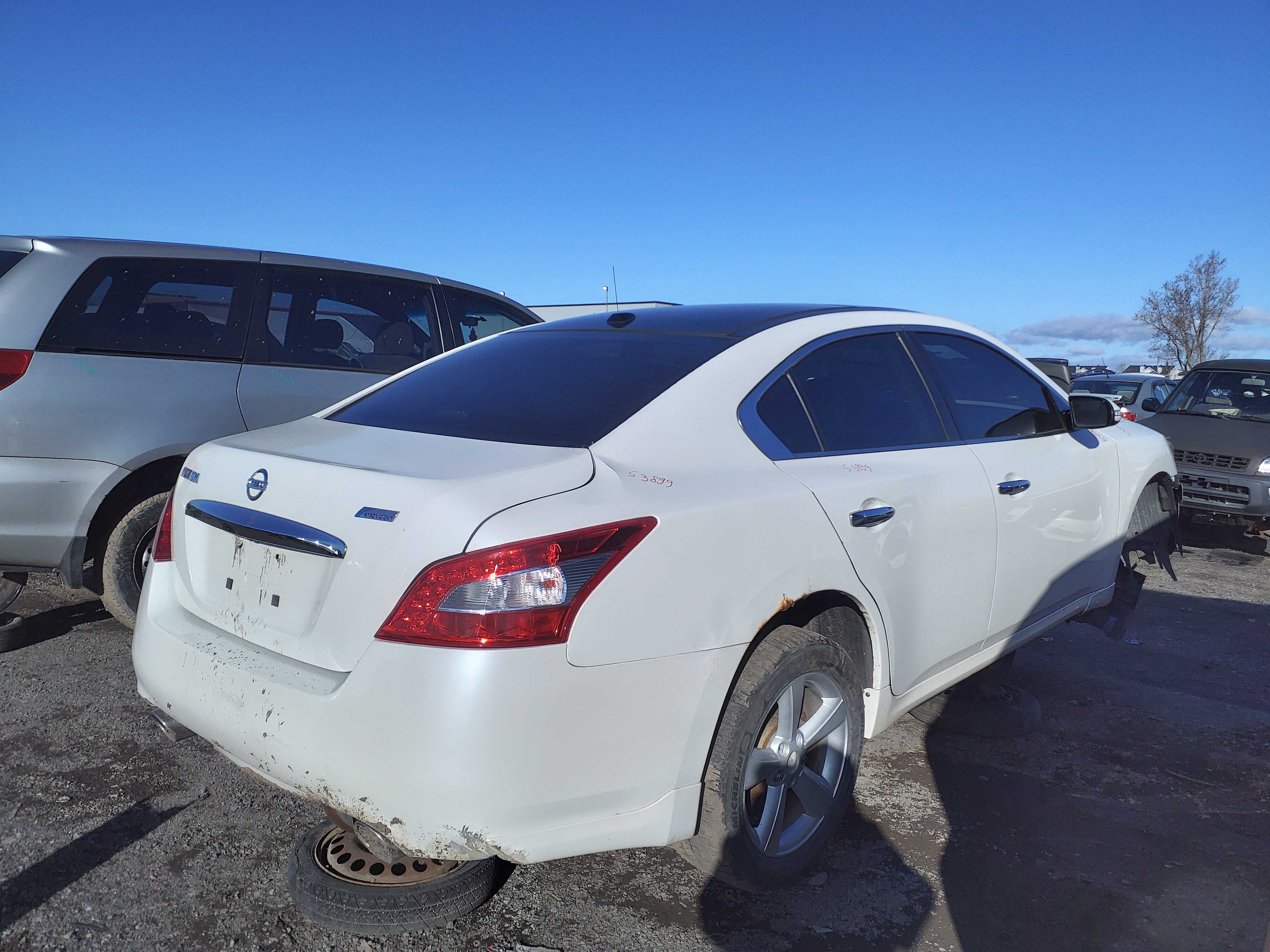 NISSAN MAXIMA 2011
