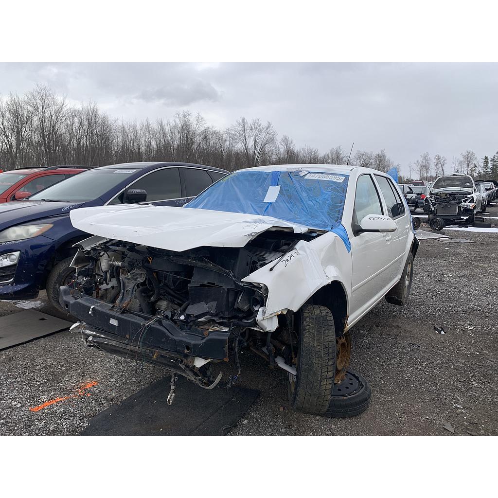 VOLKSWAGEN GOLF 2010