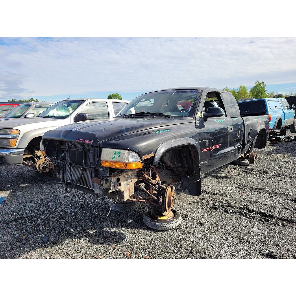 DODGE DAKOTA 1999