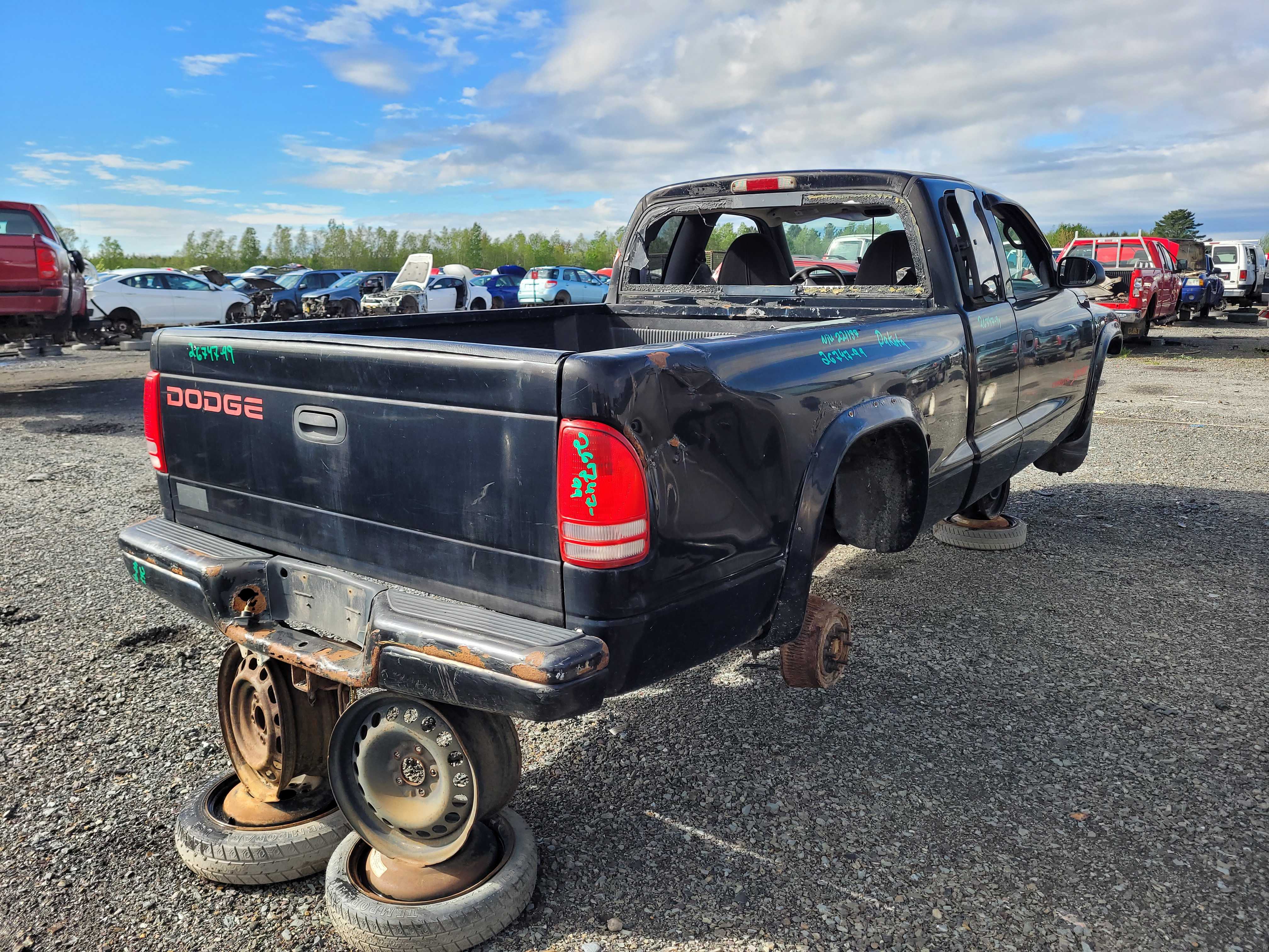 DODGE DAKOTA 1999