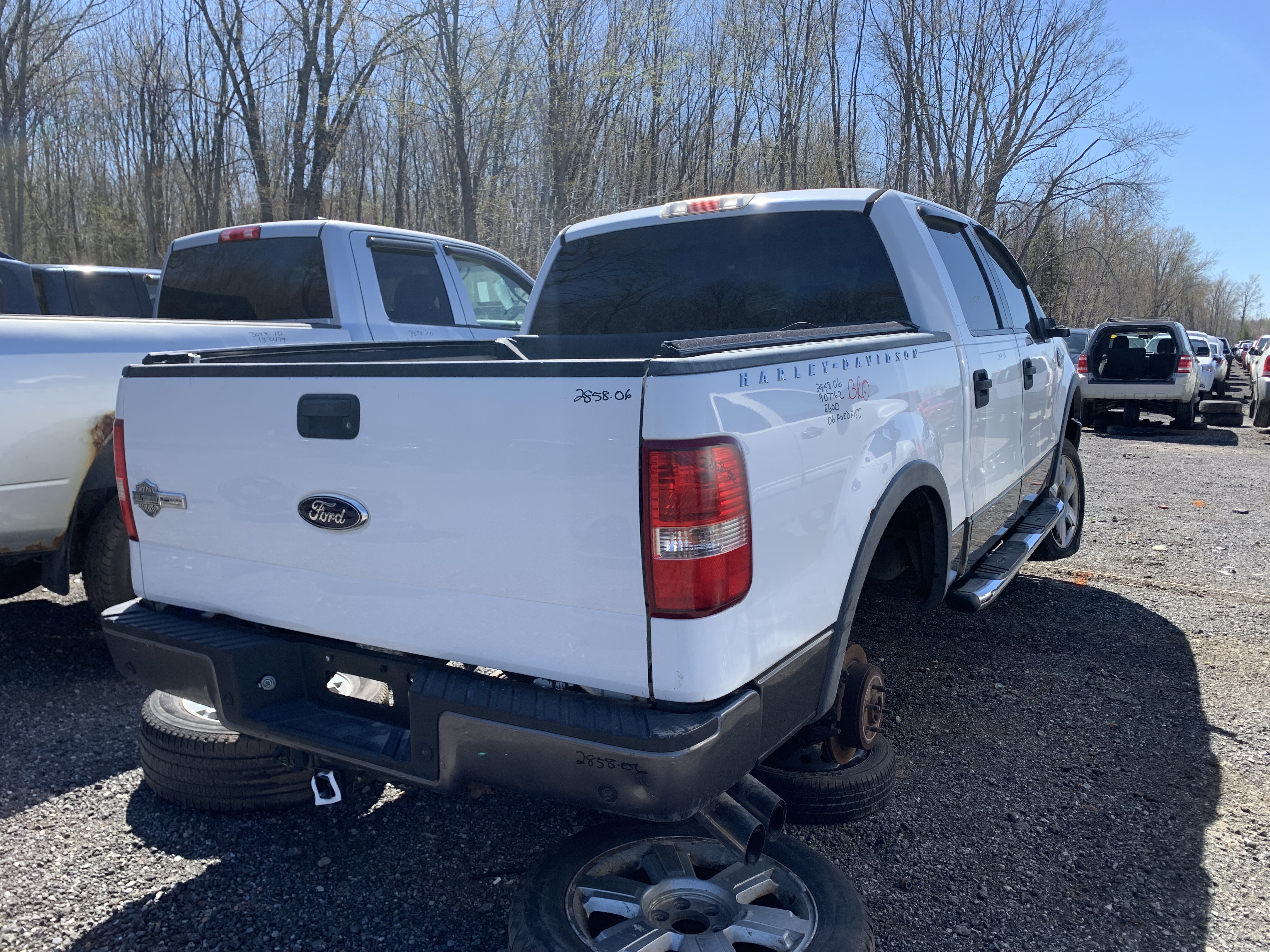 FORD F-150 2006