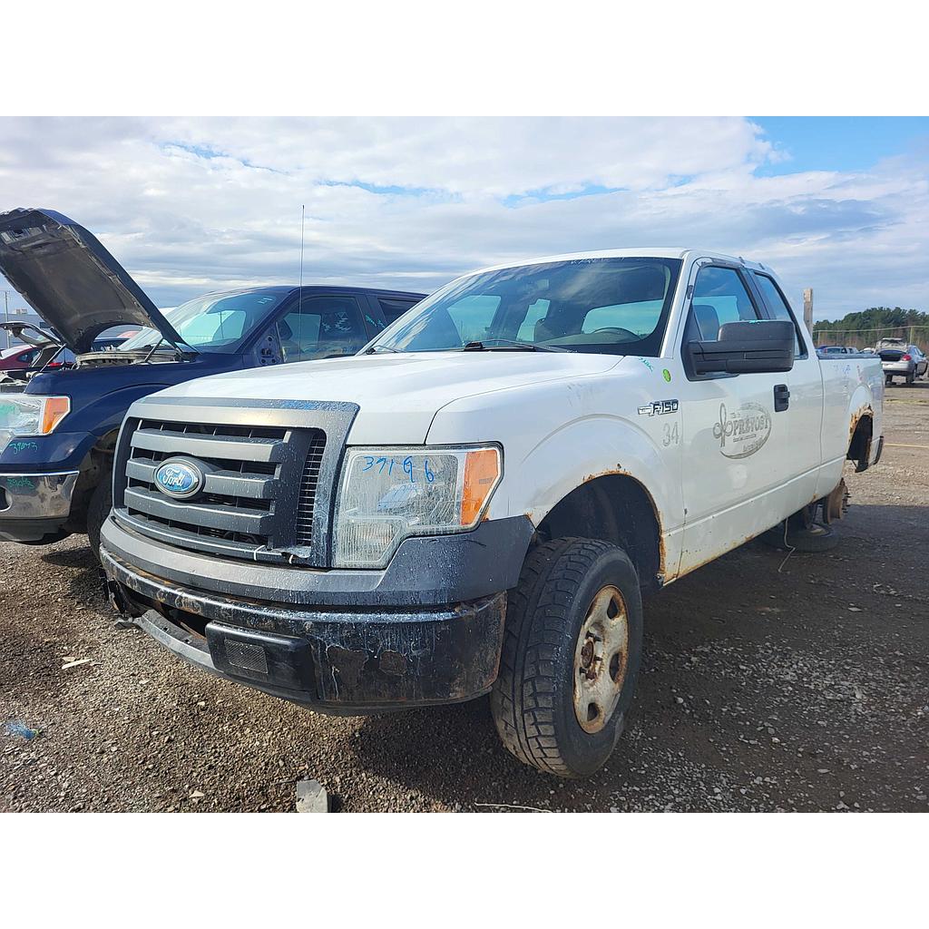 FORD F-150 2009