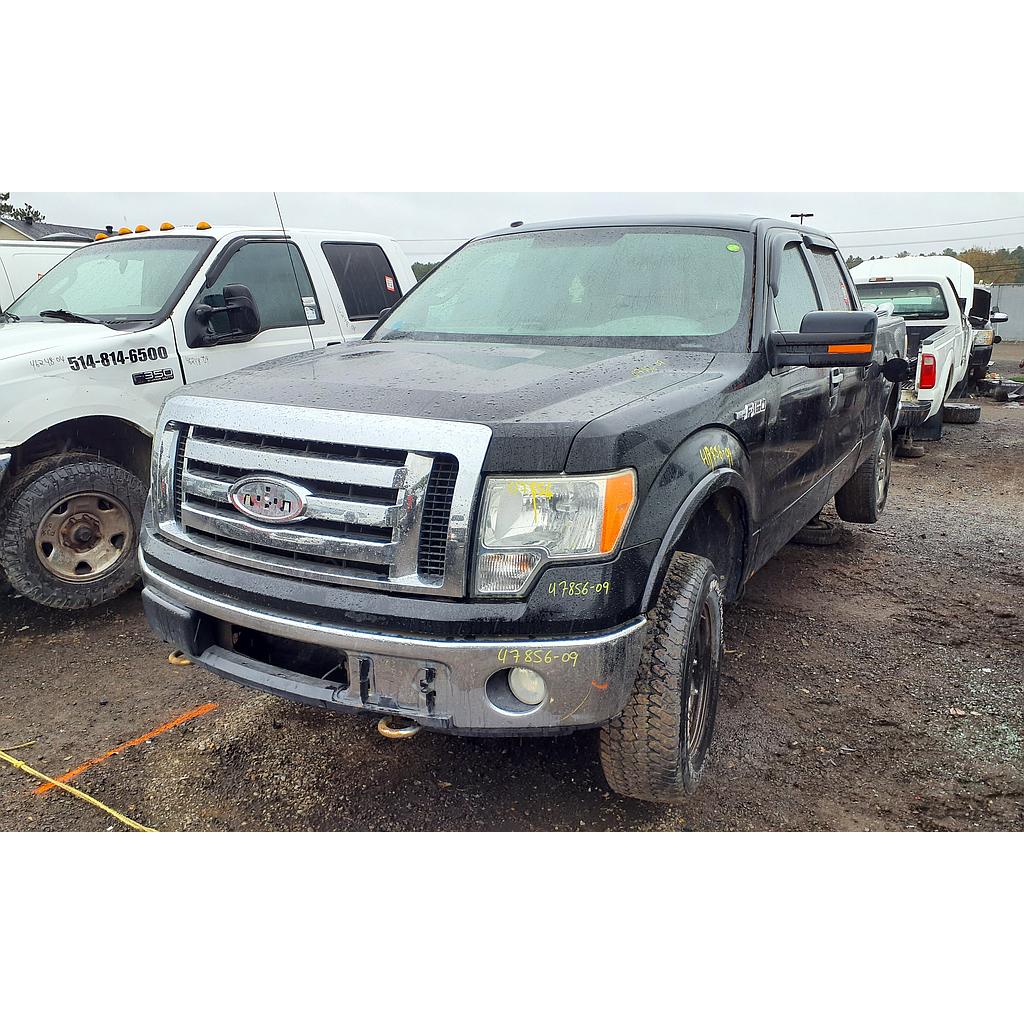 FORD F-150 2009