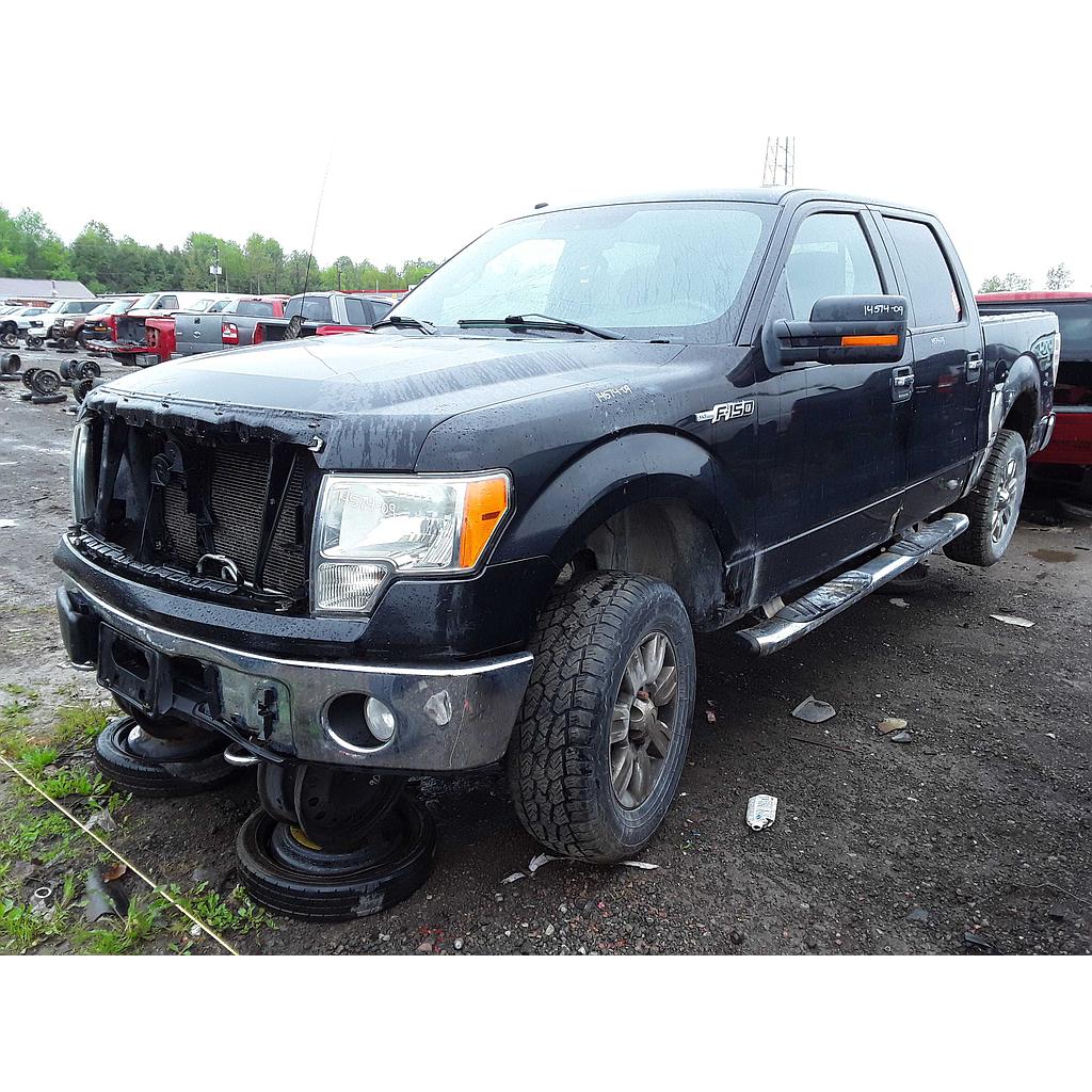FORD F-150 2009