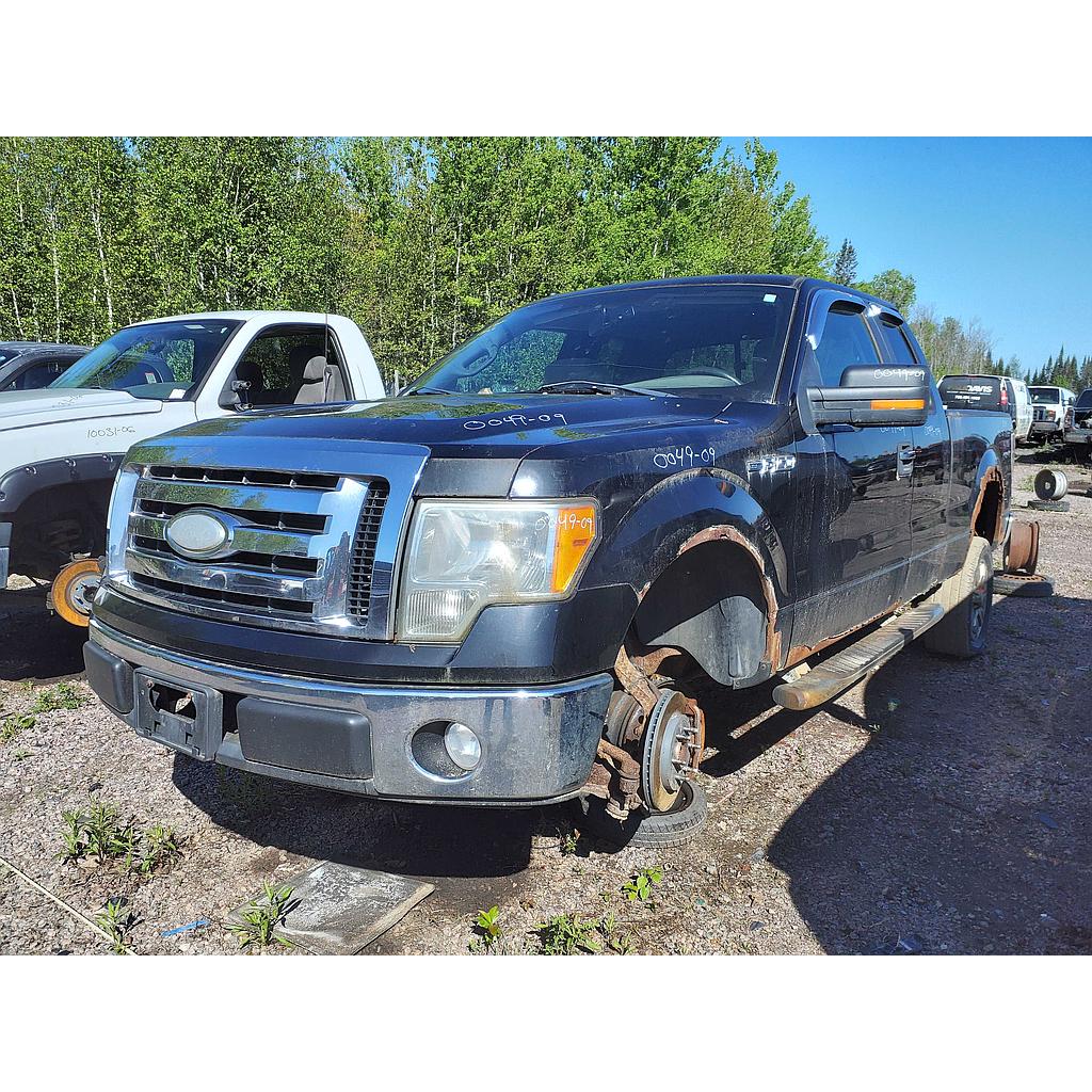 FORD F-150 2009