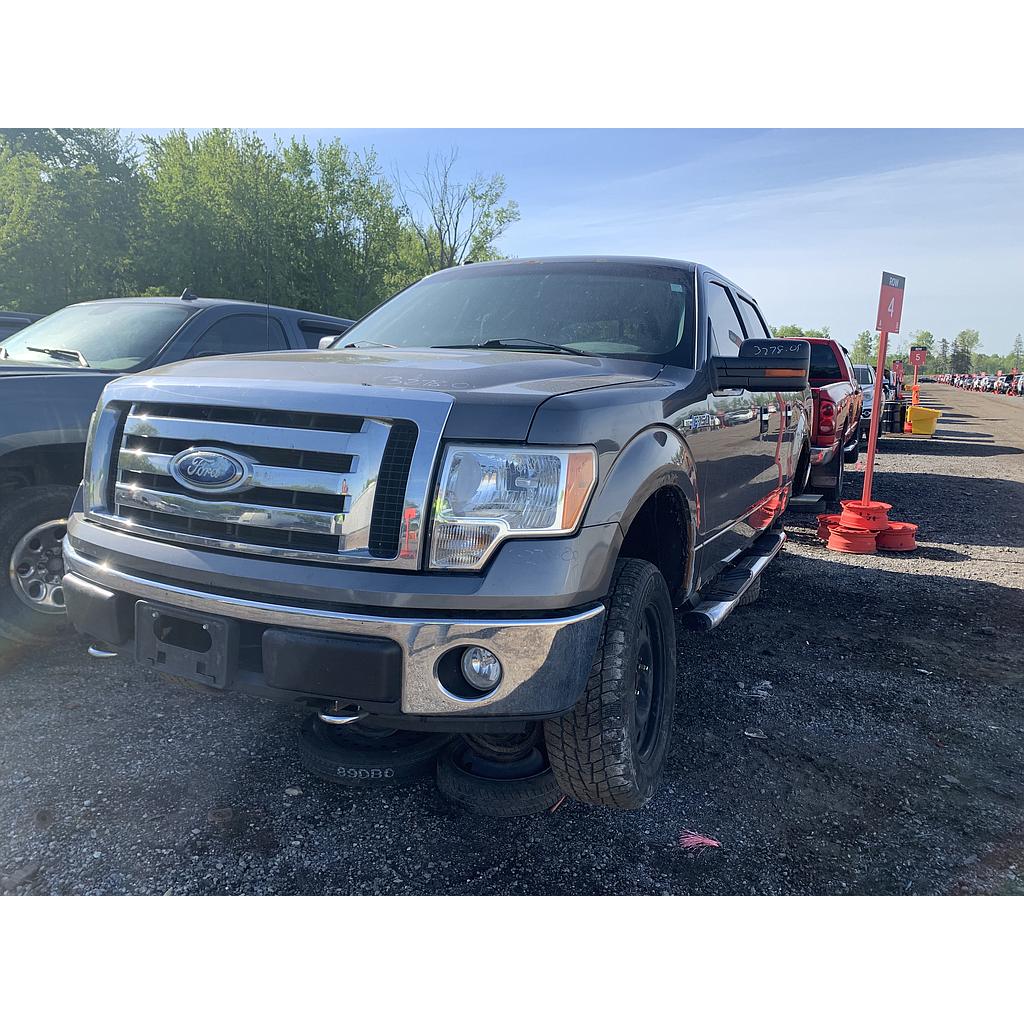 FORD F-150 2009