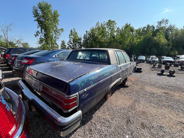 BUICK ELECTRA/PARK AVENUE 1981