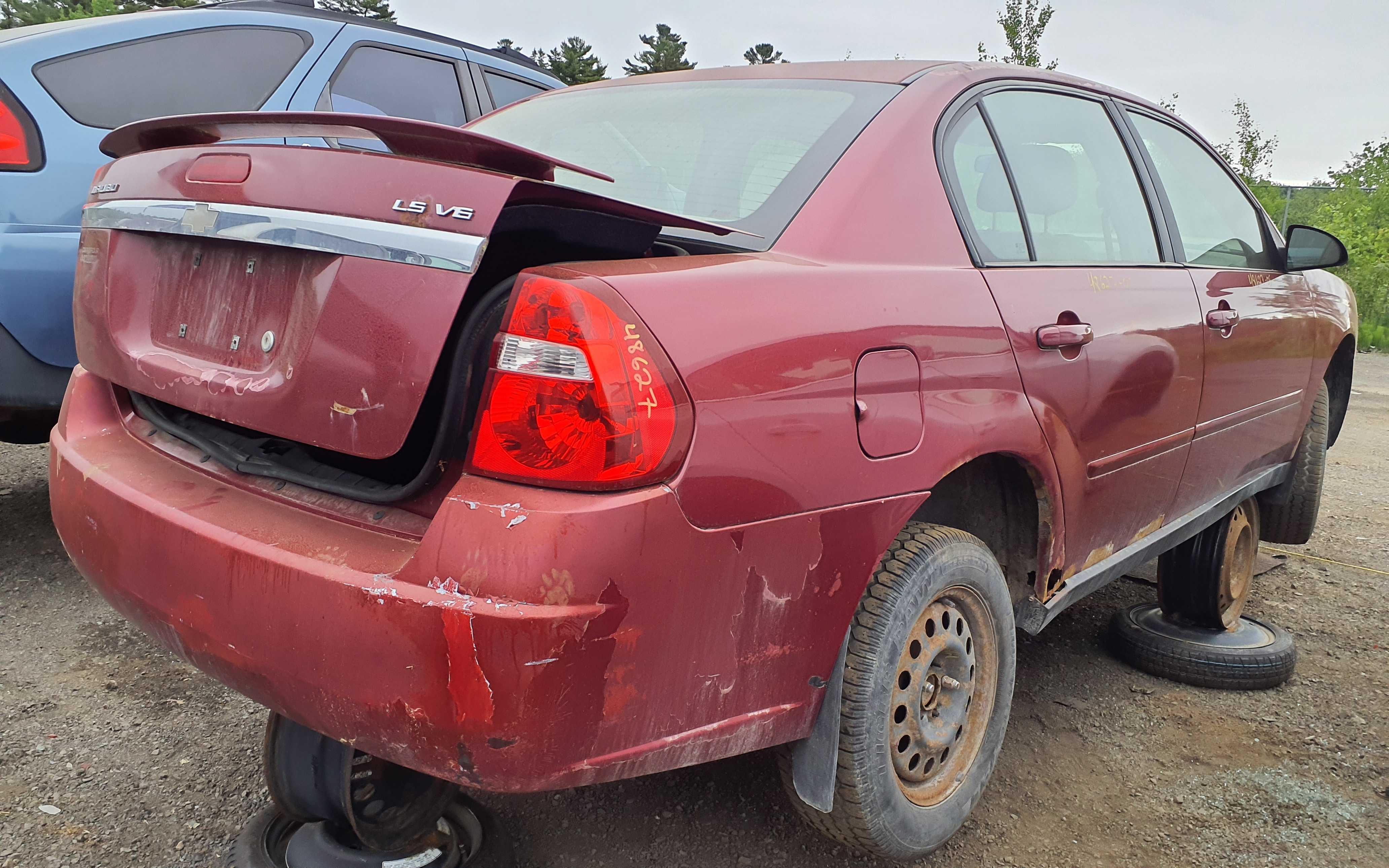CHEVROLET MALIBU 2005 St Sophie Kenny U Pull CHEVROLET MALIBU 2005 St Sophie Kenny U Pull
