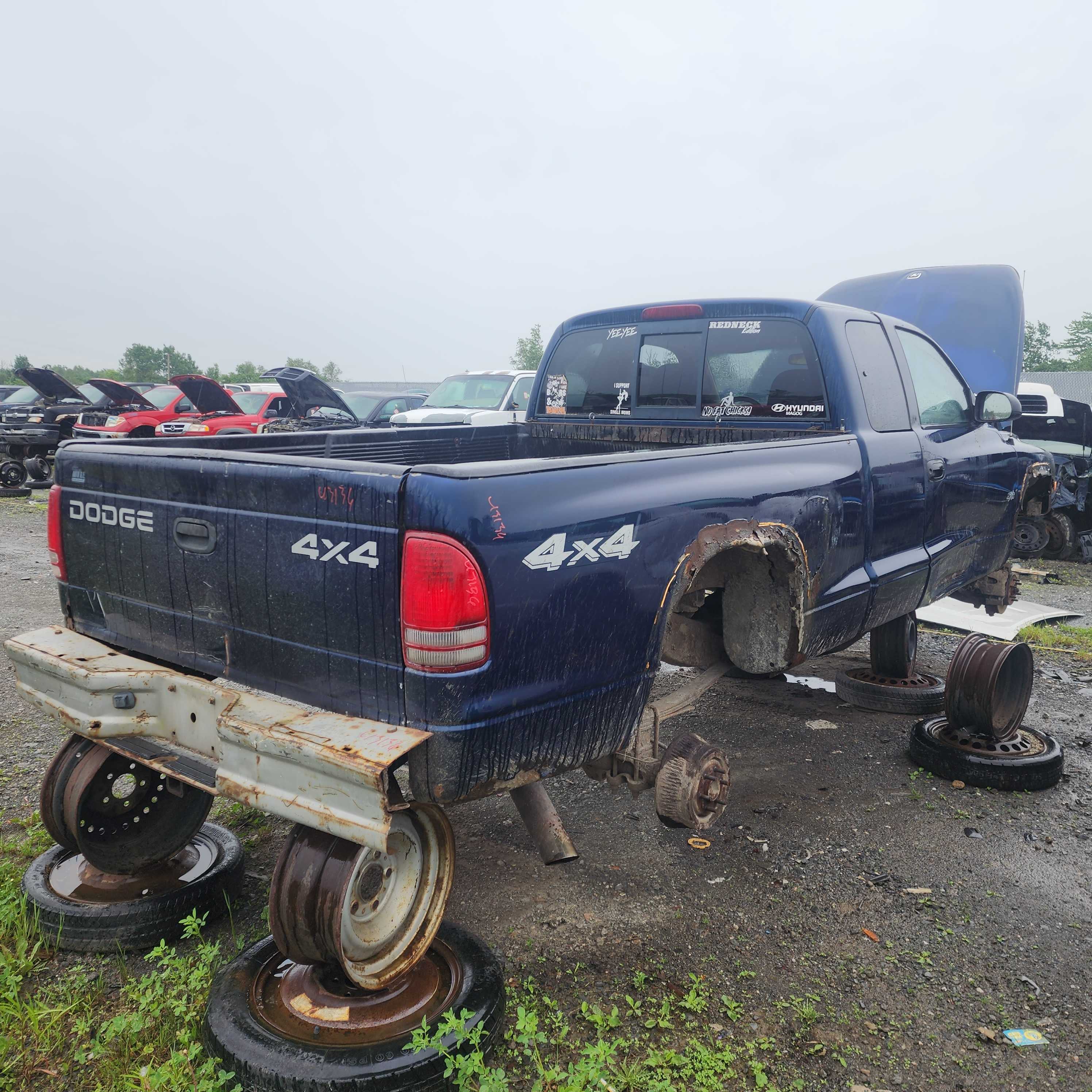 DODGE DAKOTA 2002