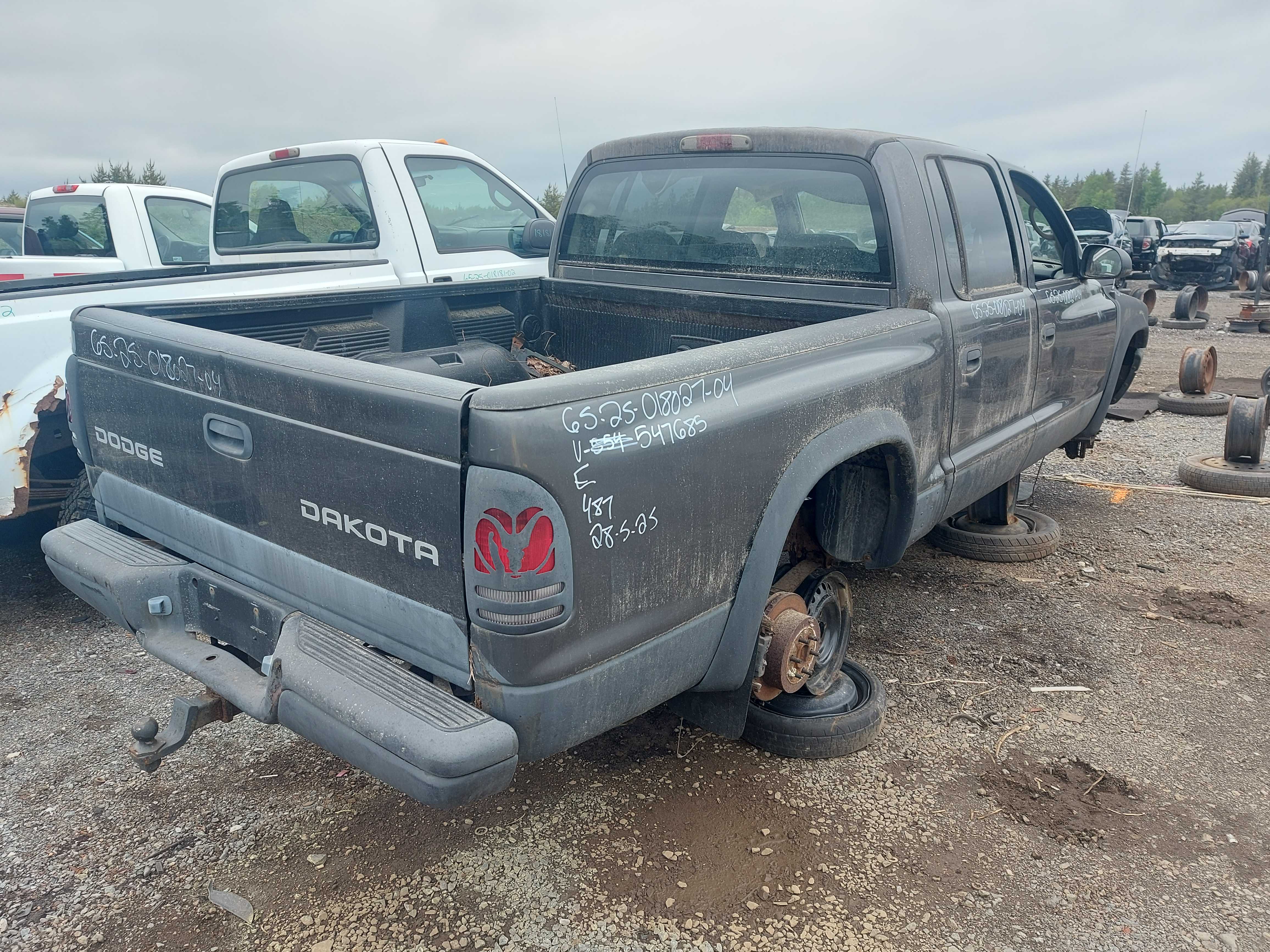 DODGE DAKOTA 2004