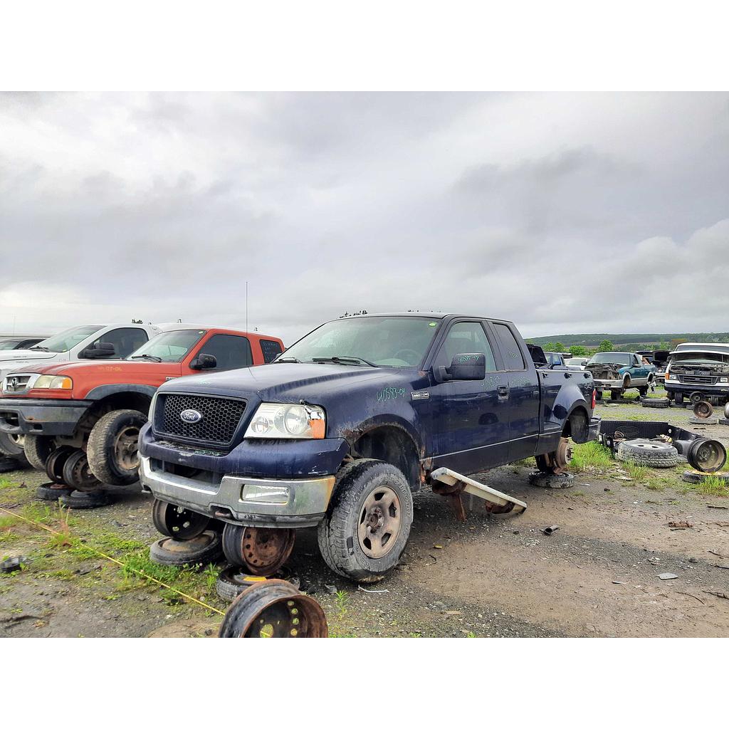 FORD F-150 2004