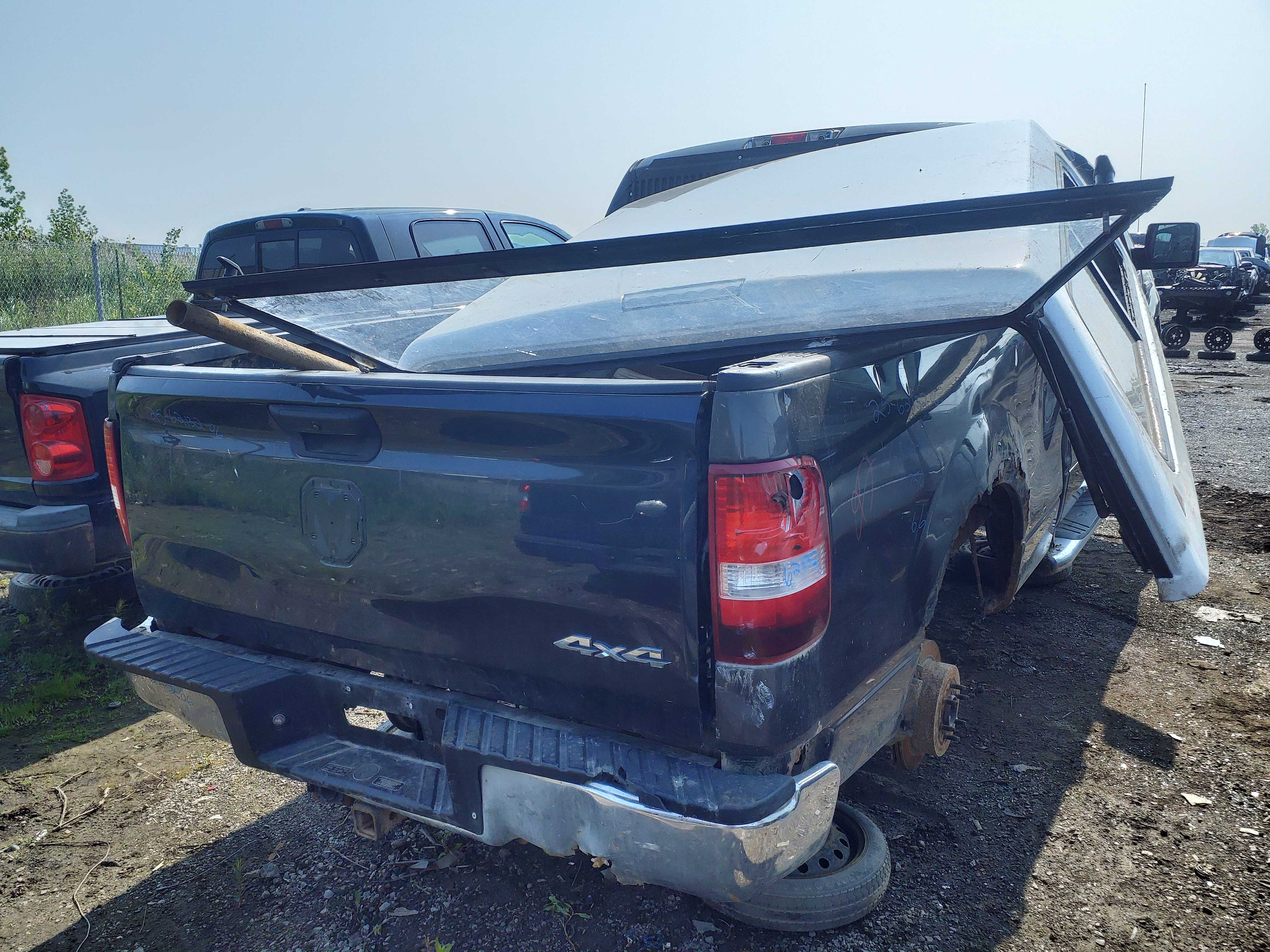 FORD F-150 2006