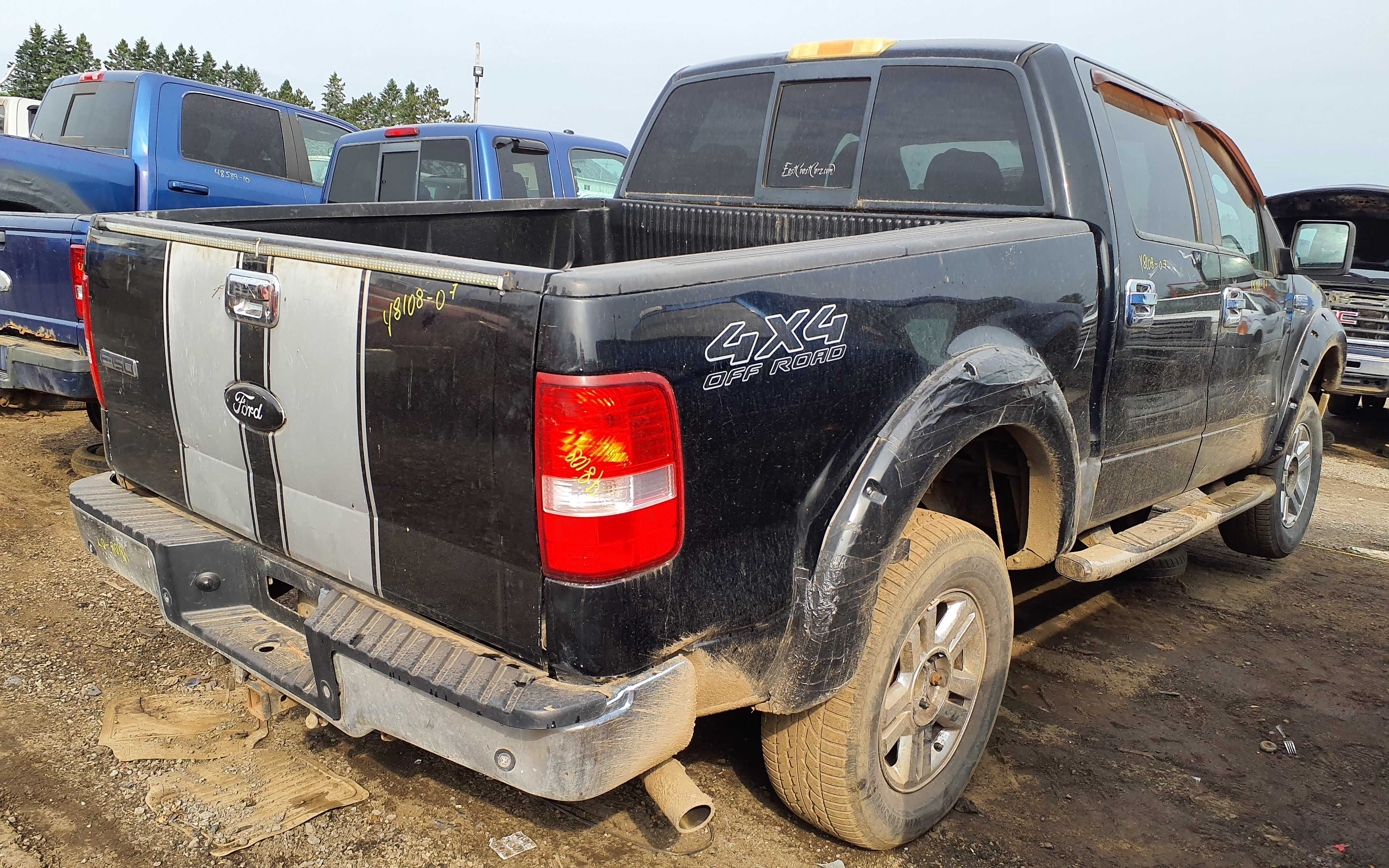 FORD F-150 2007