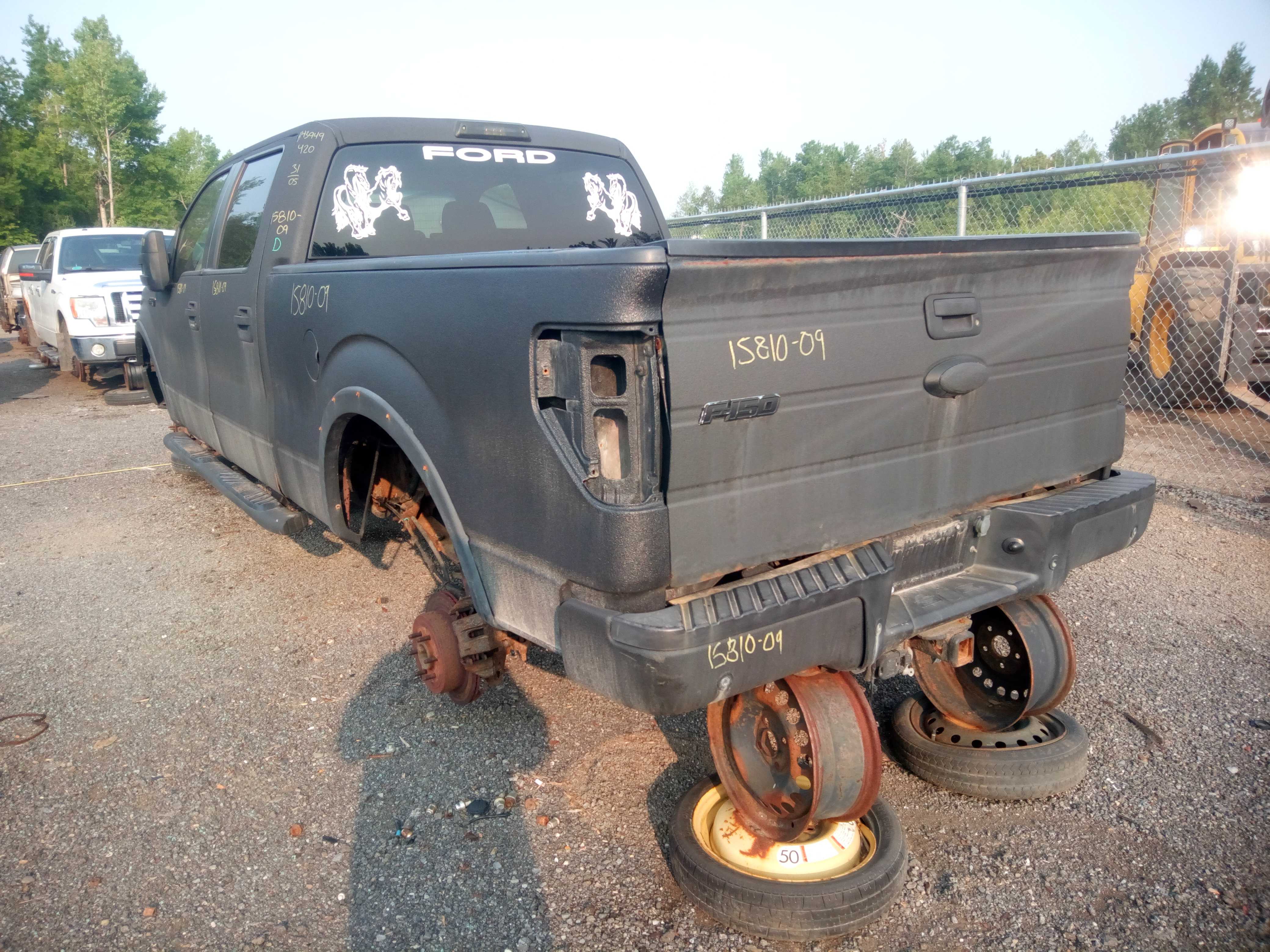 FORD F-150 2009