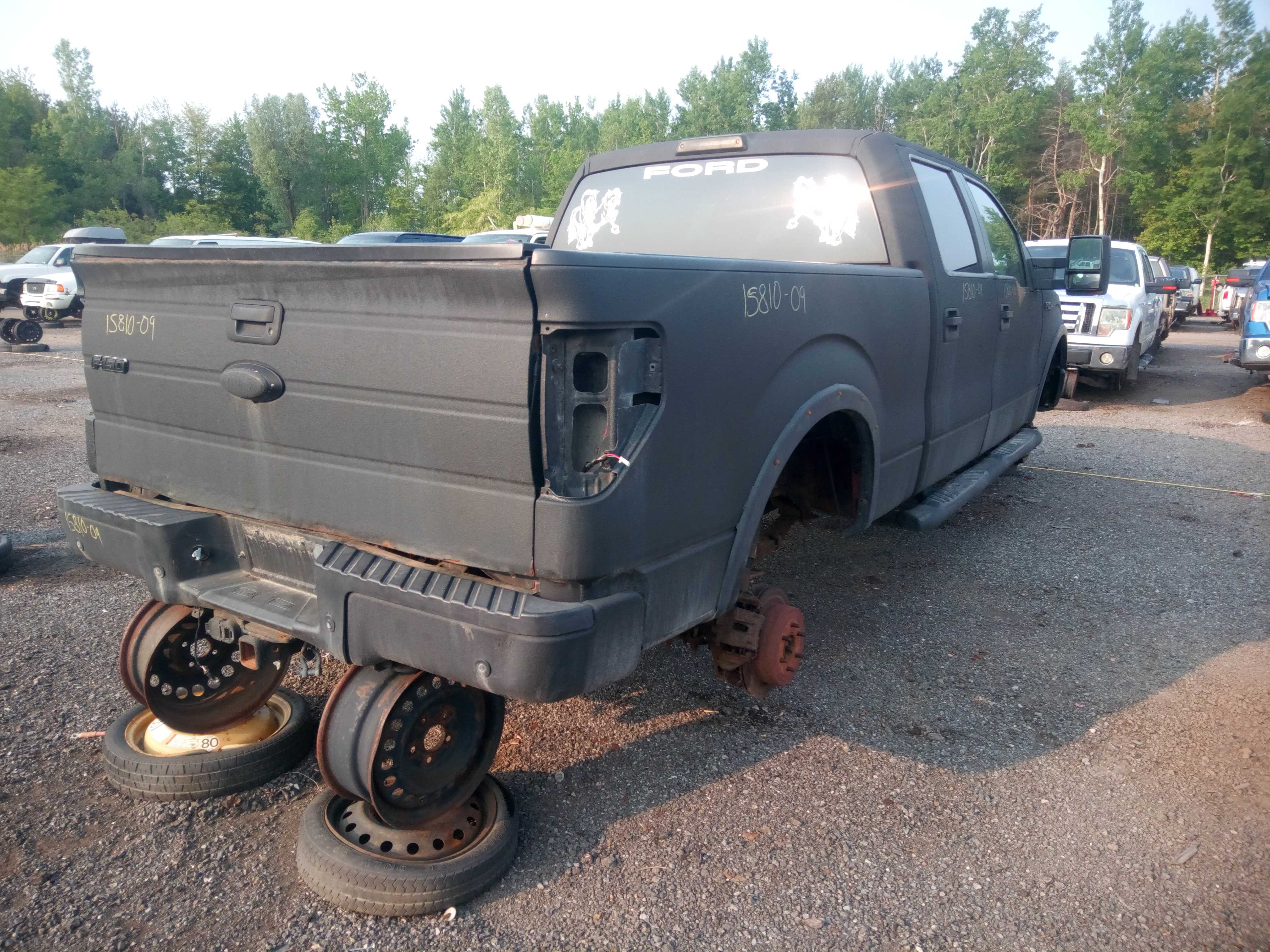 FORD F-150 2009