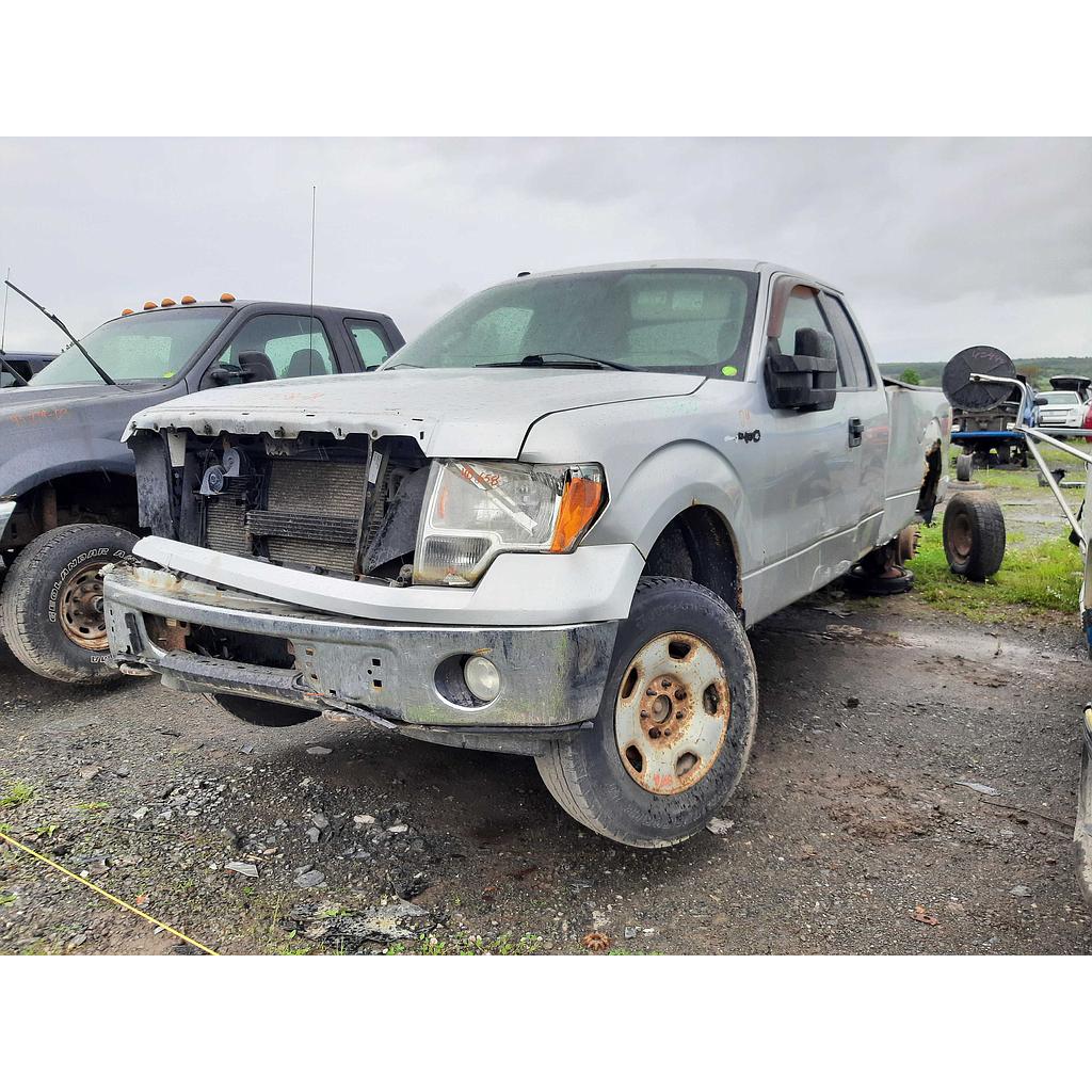 FORD F-150 2009