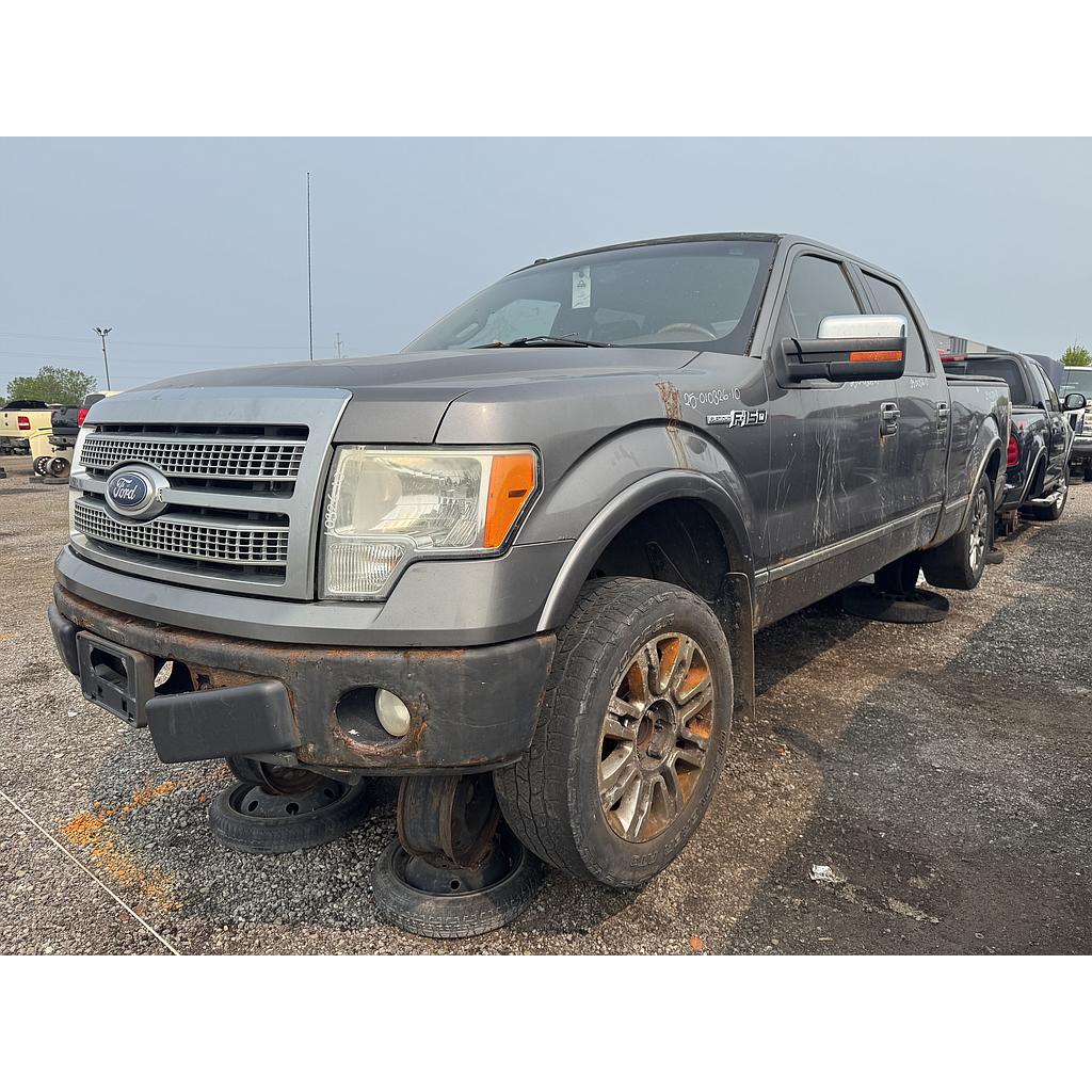 FORD F-150 2010