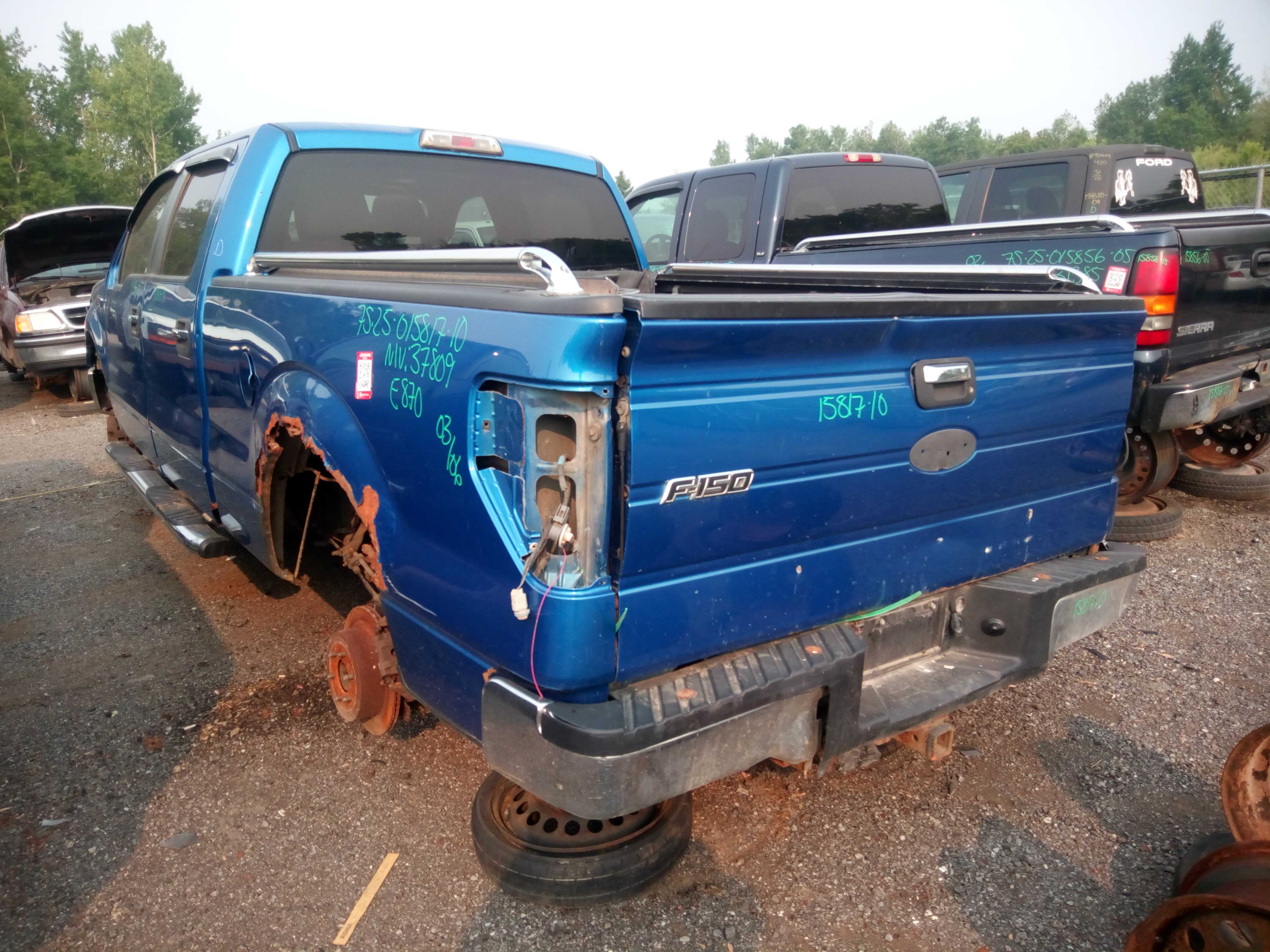 FORD F-150 2010
