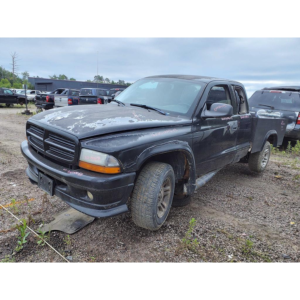 DODGE DAKOTA 2003