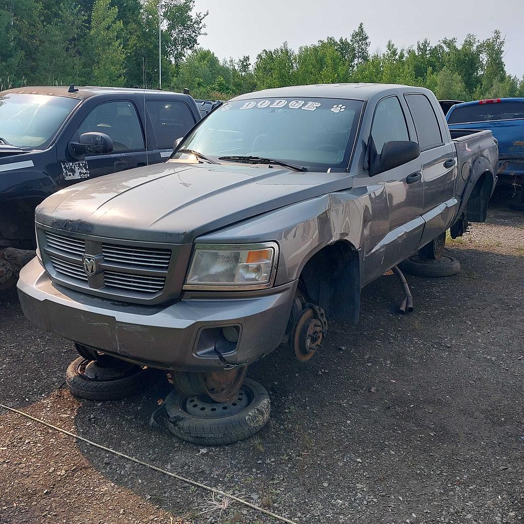 DODGE DAKOTA 2008