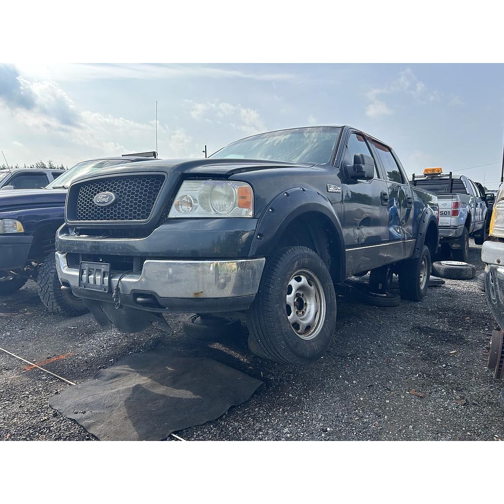 FORD F-150 2005