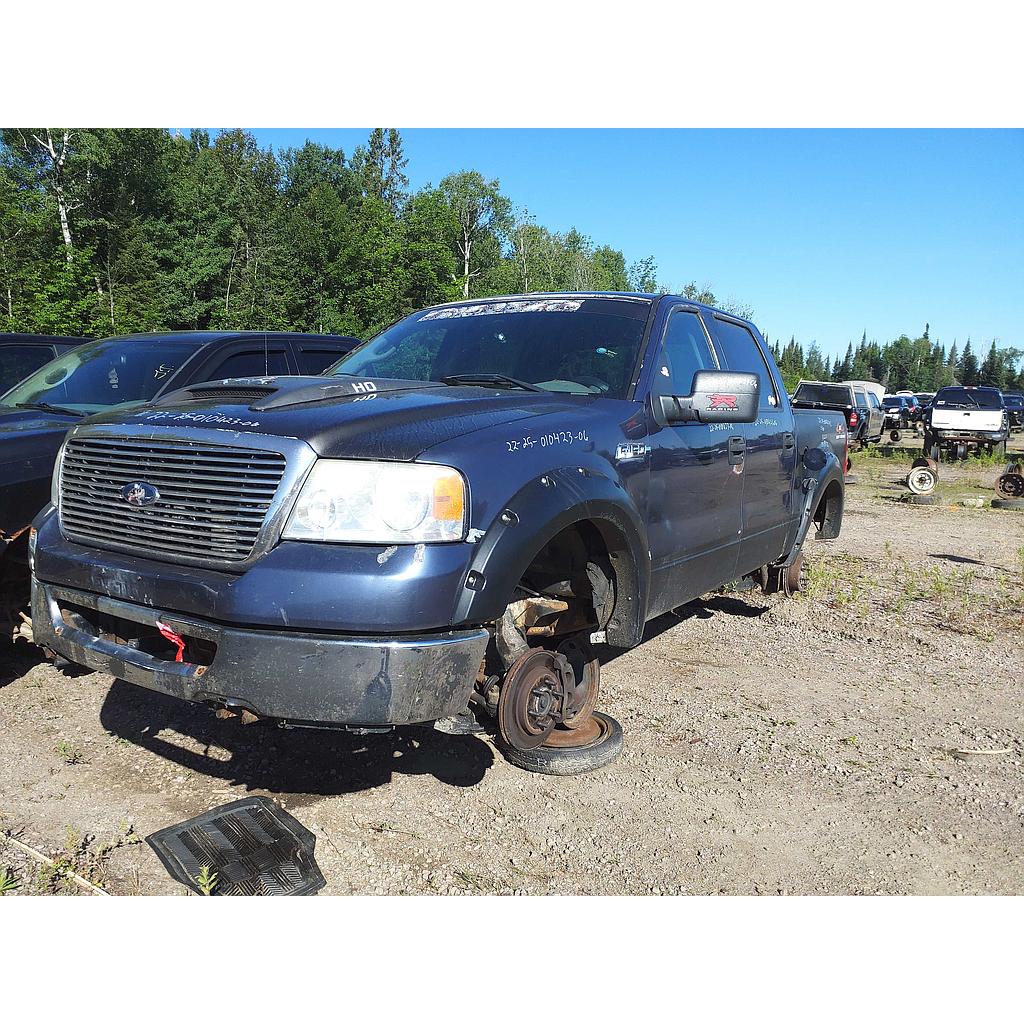 FORD F-150 2006