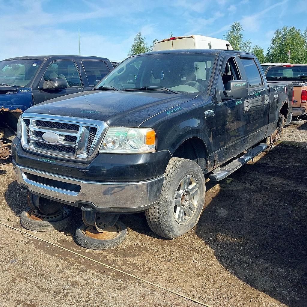 FORD F-150 2007