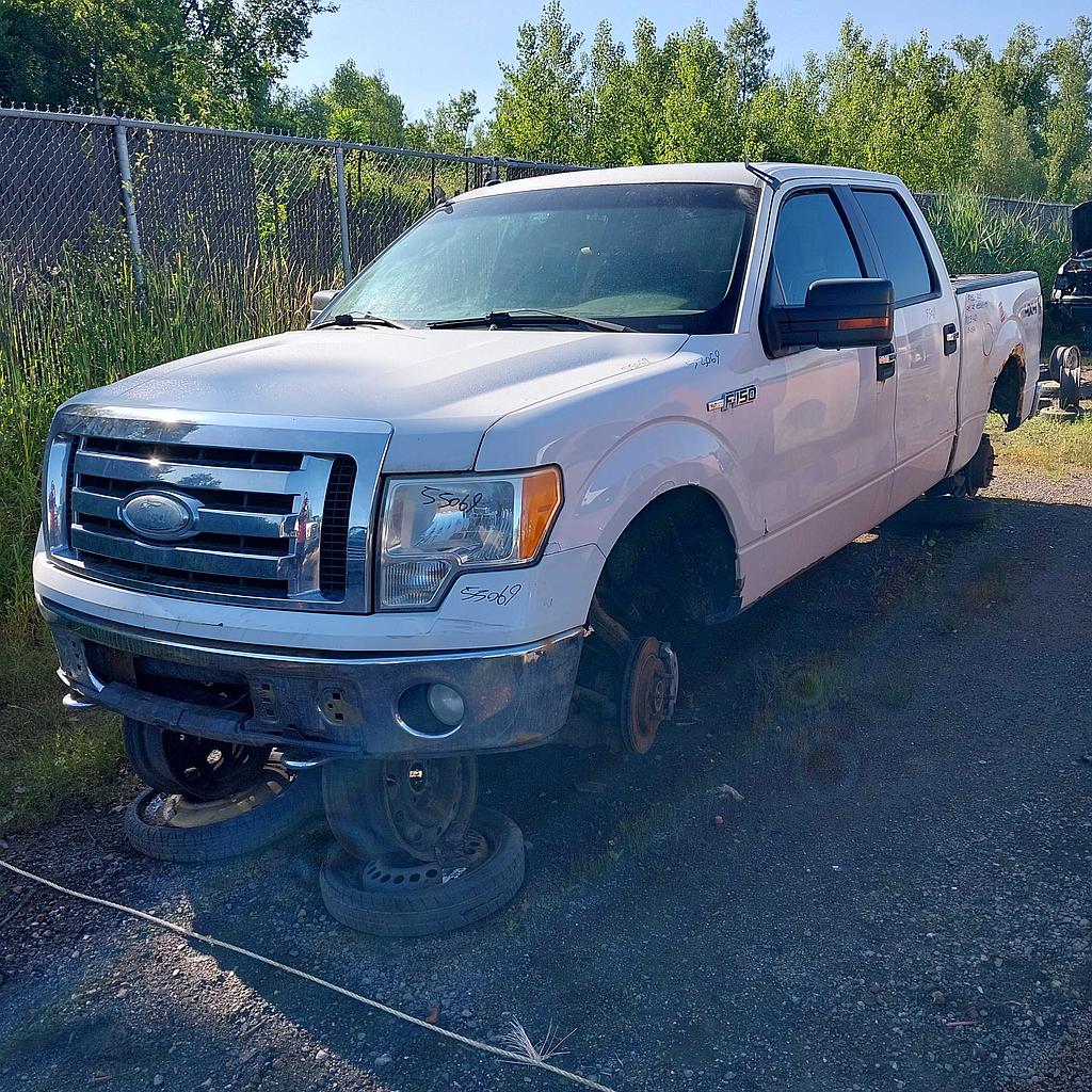 FORD F-150 2009