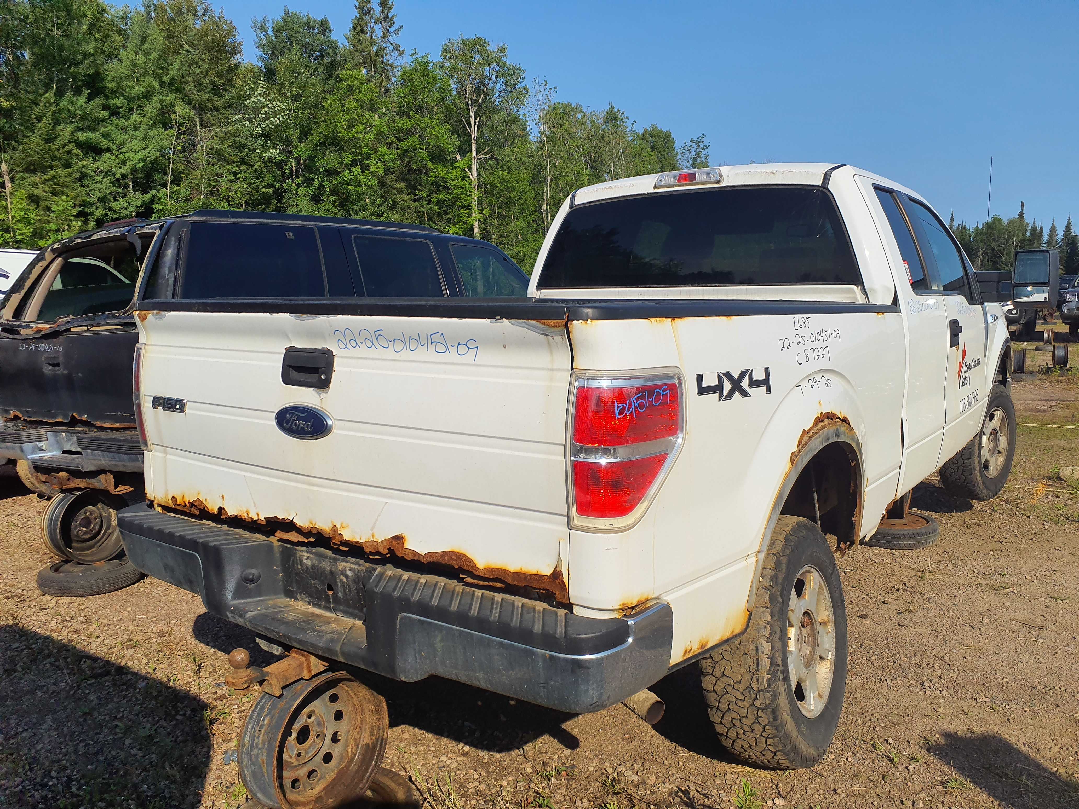 FORD F-150 2009