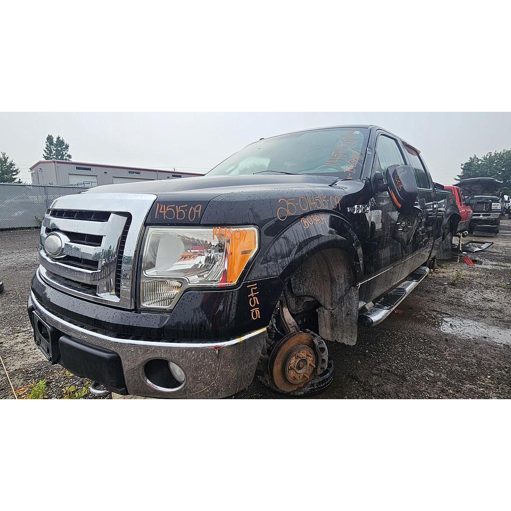 FORD F-150 2009