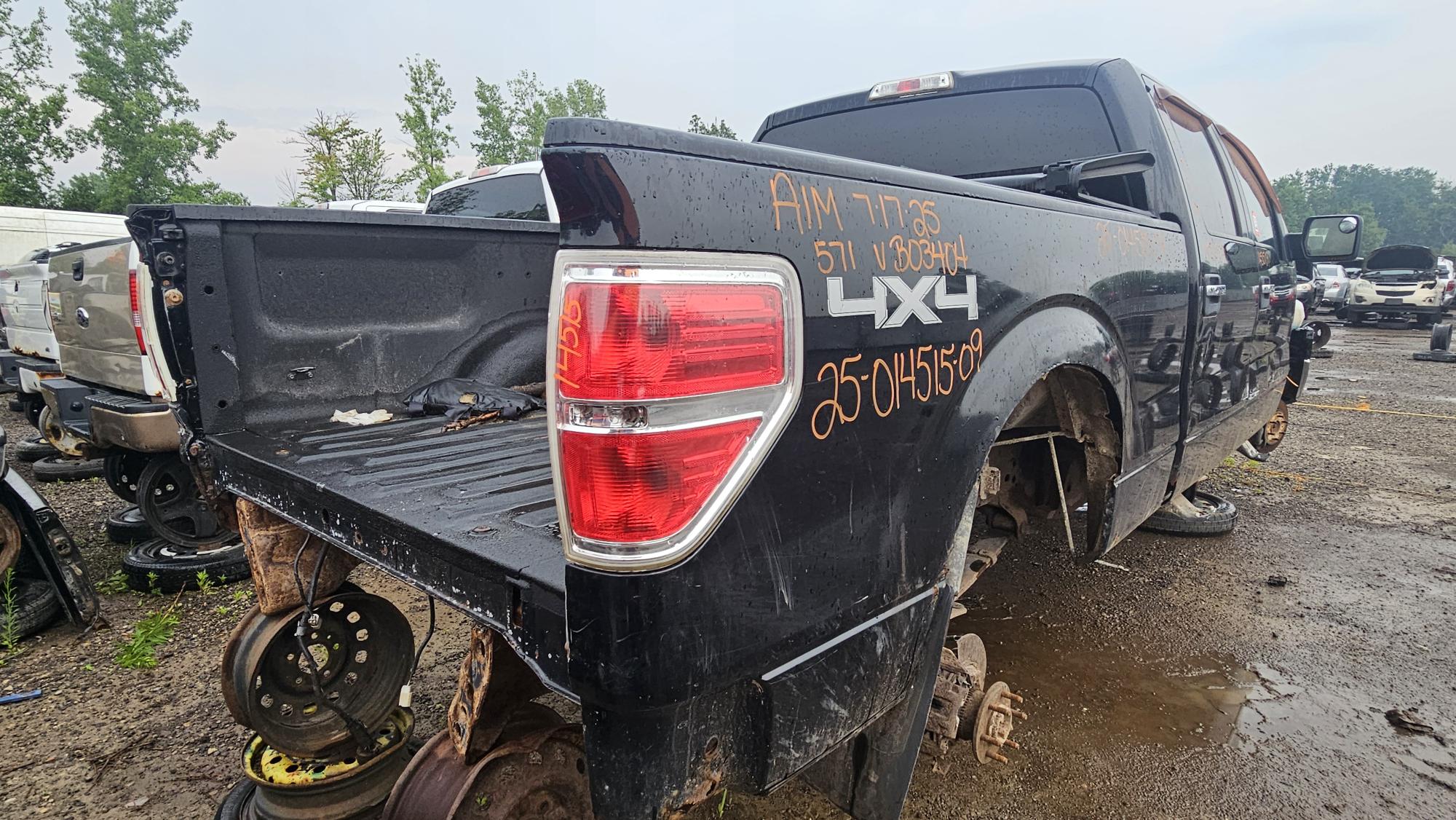 FORD F-150 2009