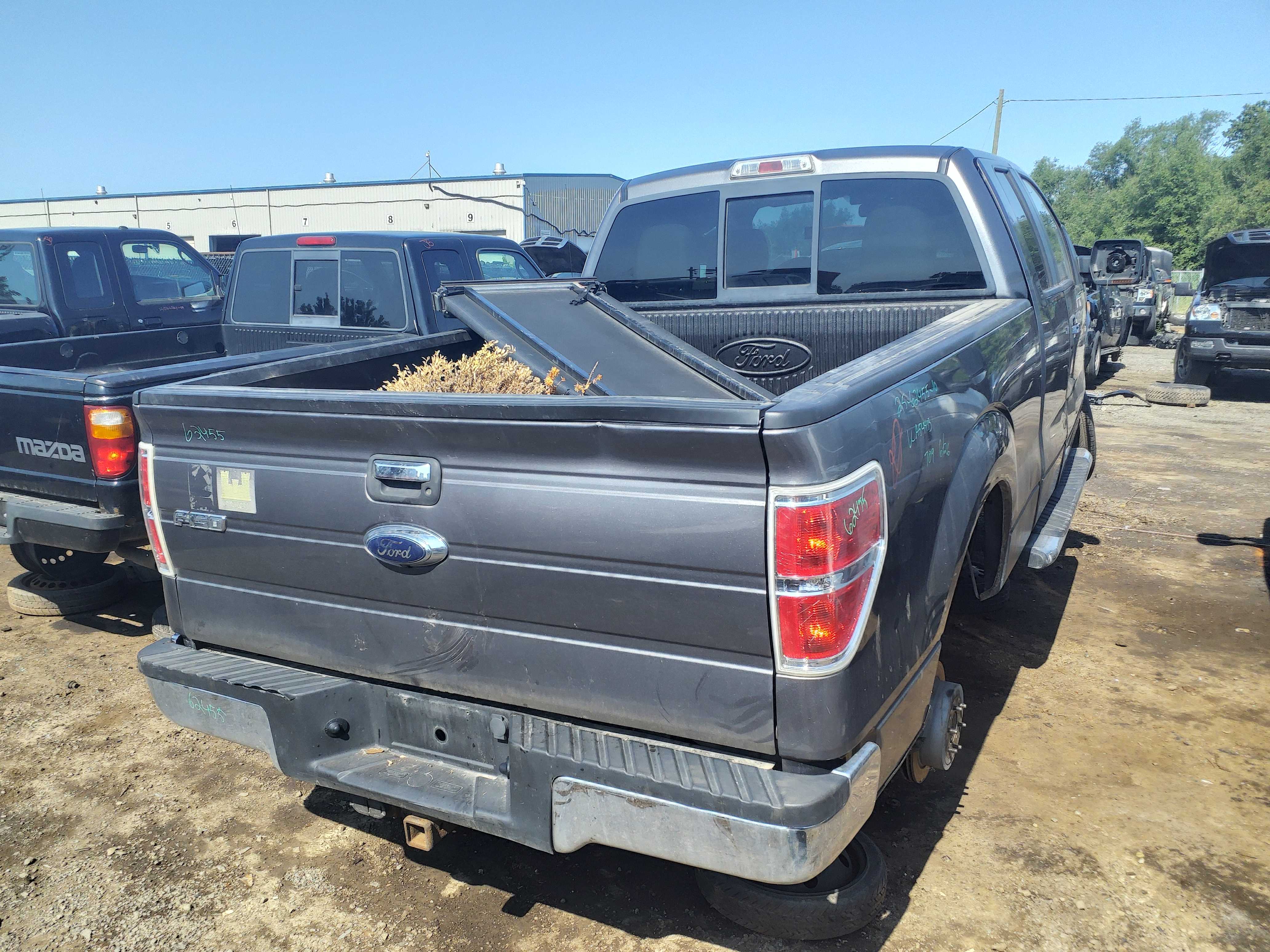 FORD F-150 2010
