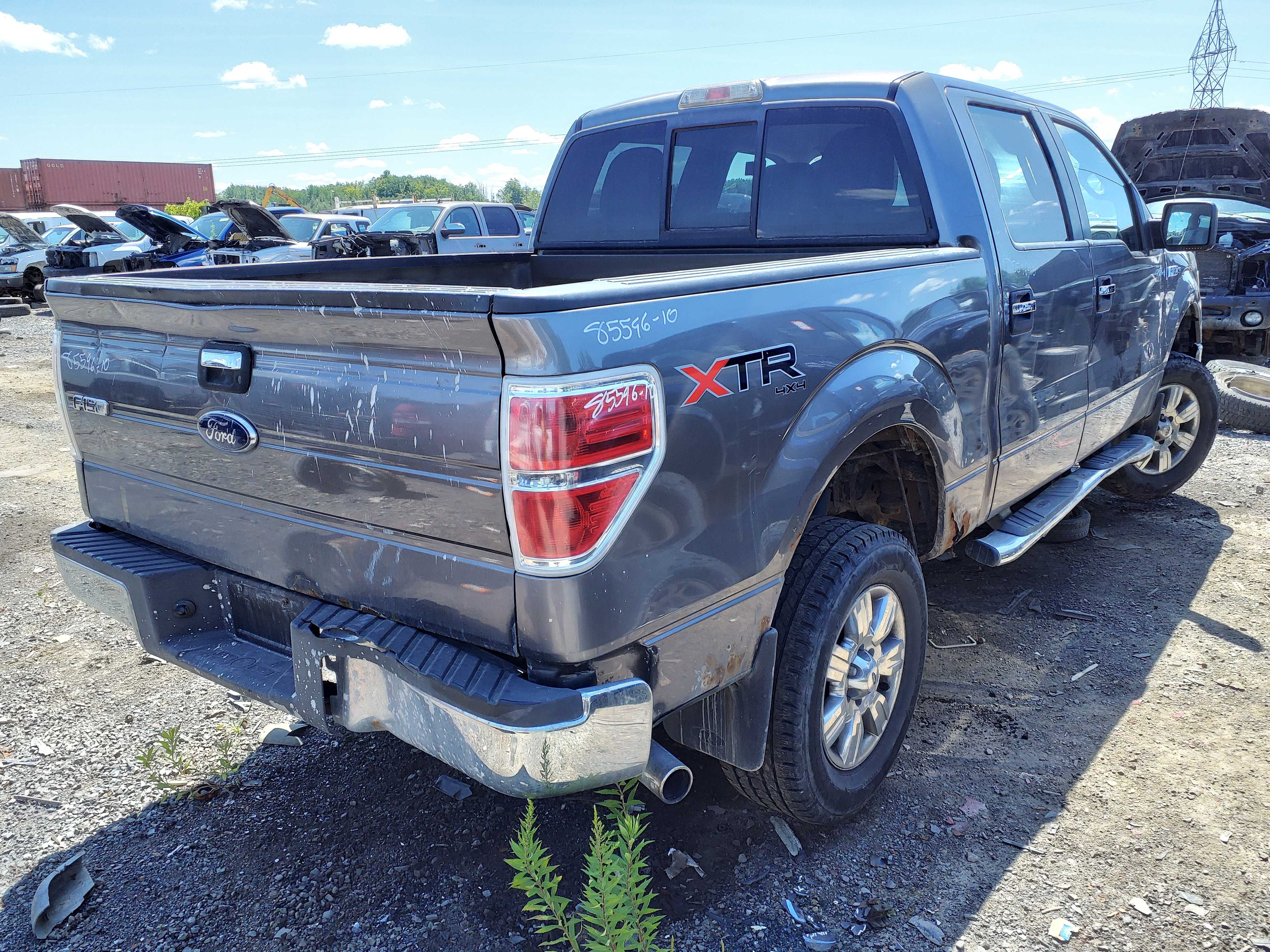 FORD F-150 2010