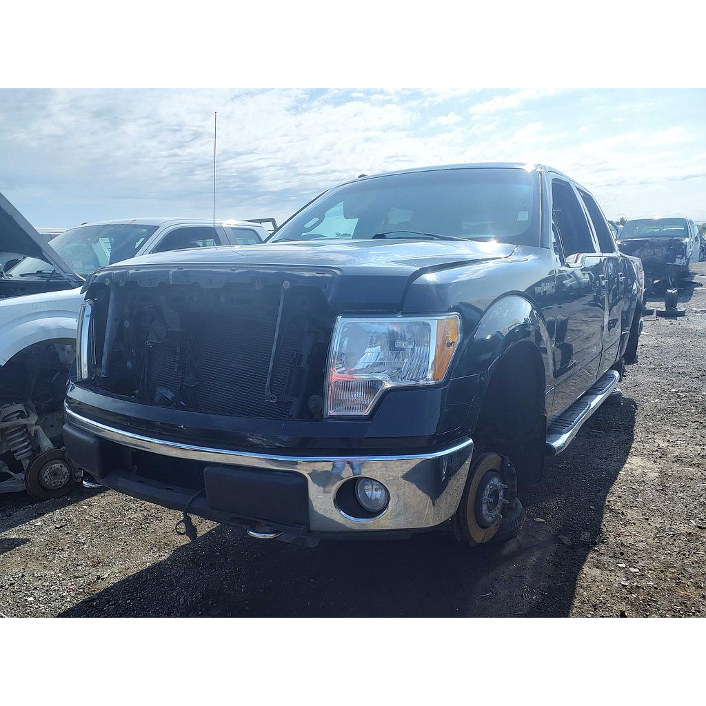 FORD F-150 2010