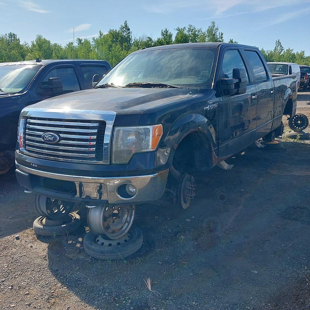 FORD F-150 2010