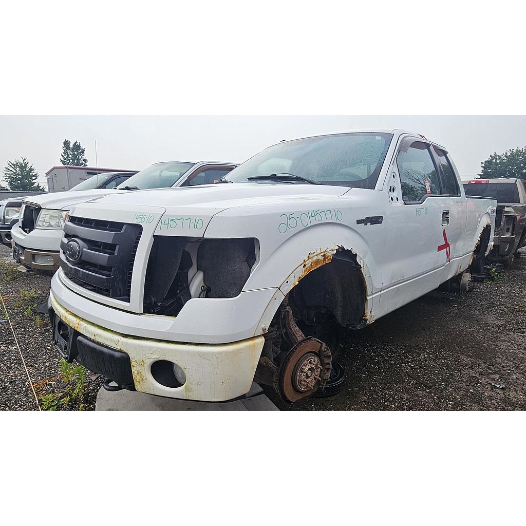 FORD F-150 2010