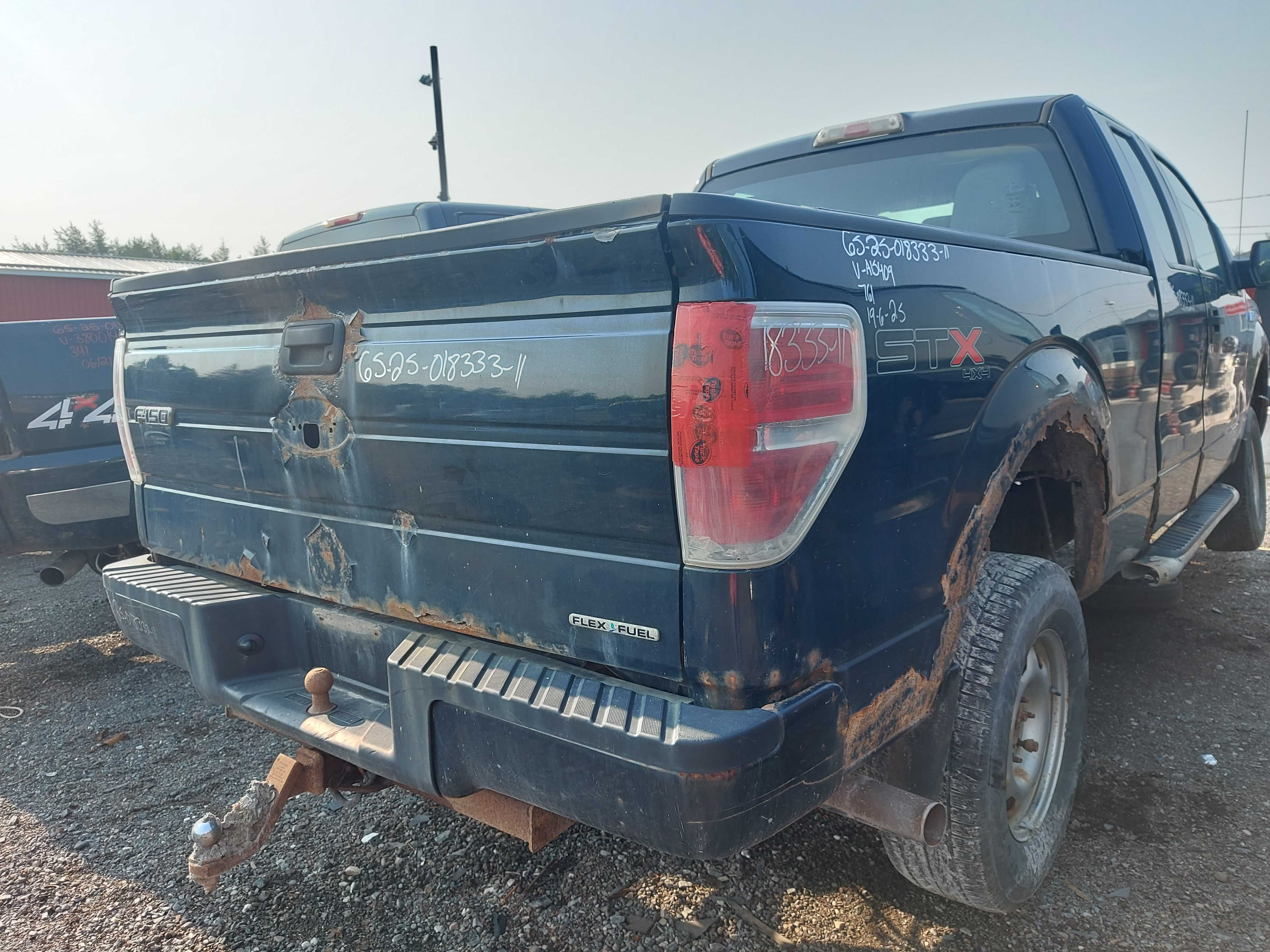 FORD F-150 2011