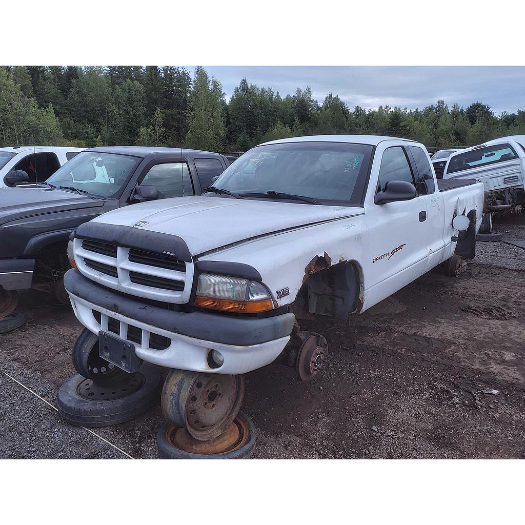 DODGE DAKOTA 1999