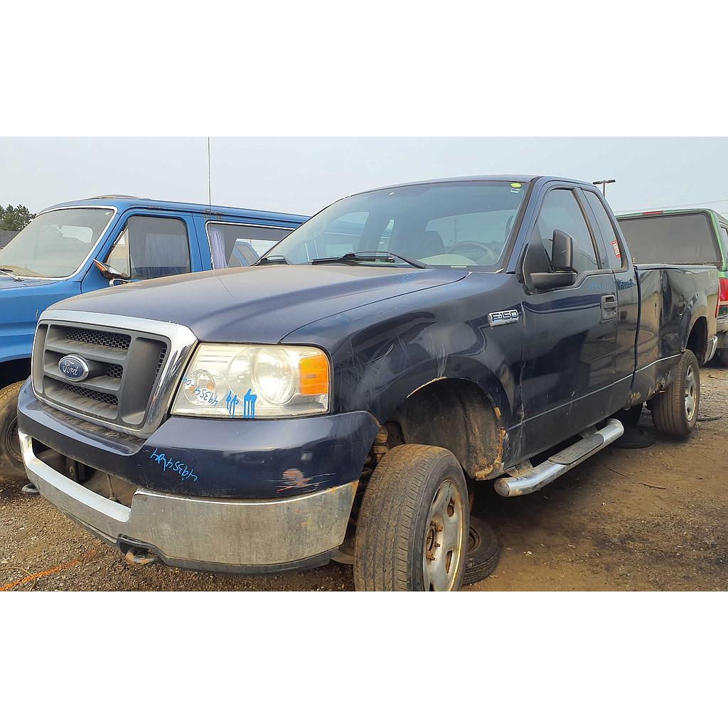 FORD F-150 2004