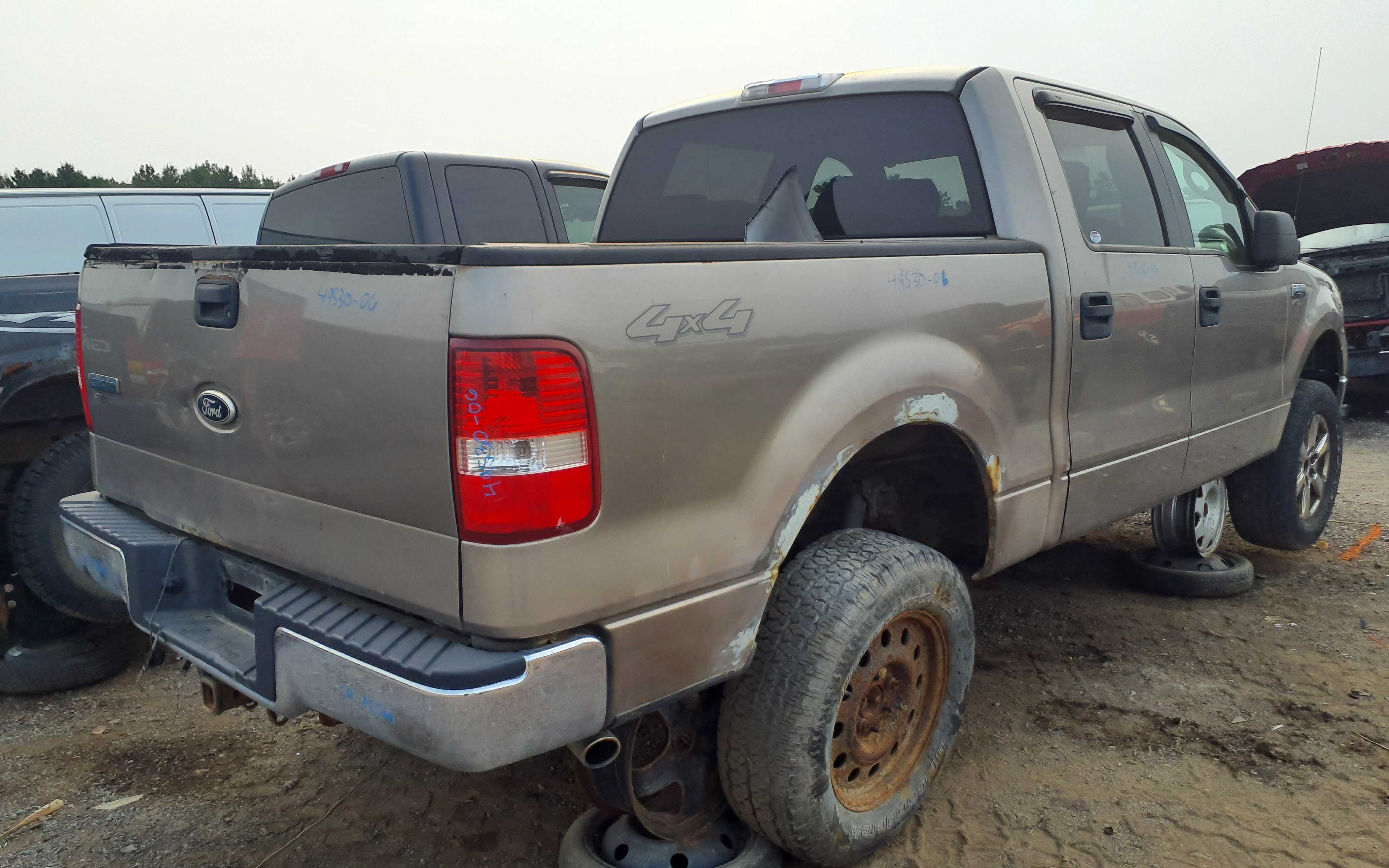 FORD F-150 2006