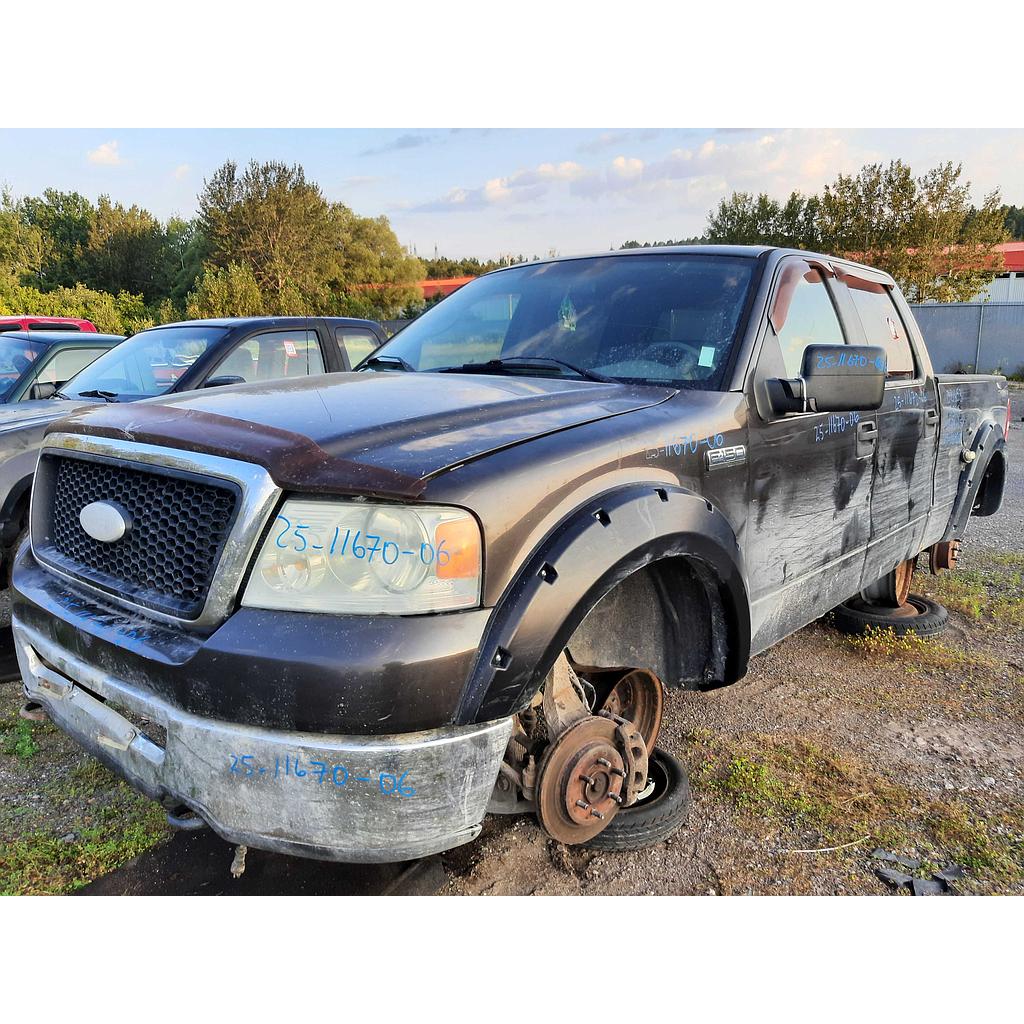 FORD F-150 2006