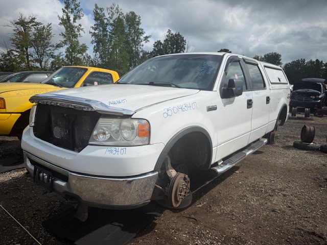 FORD F-150 2007