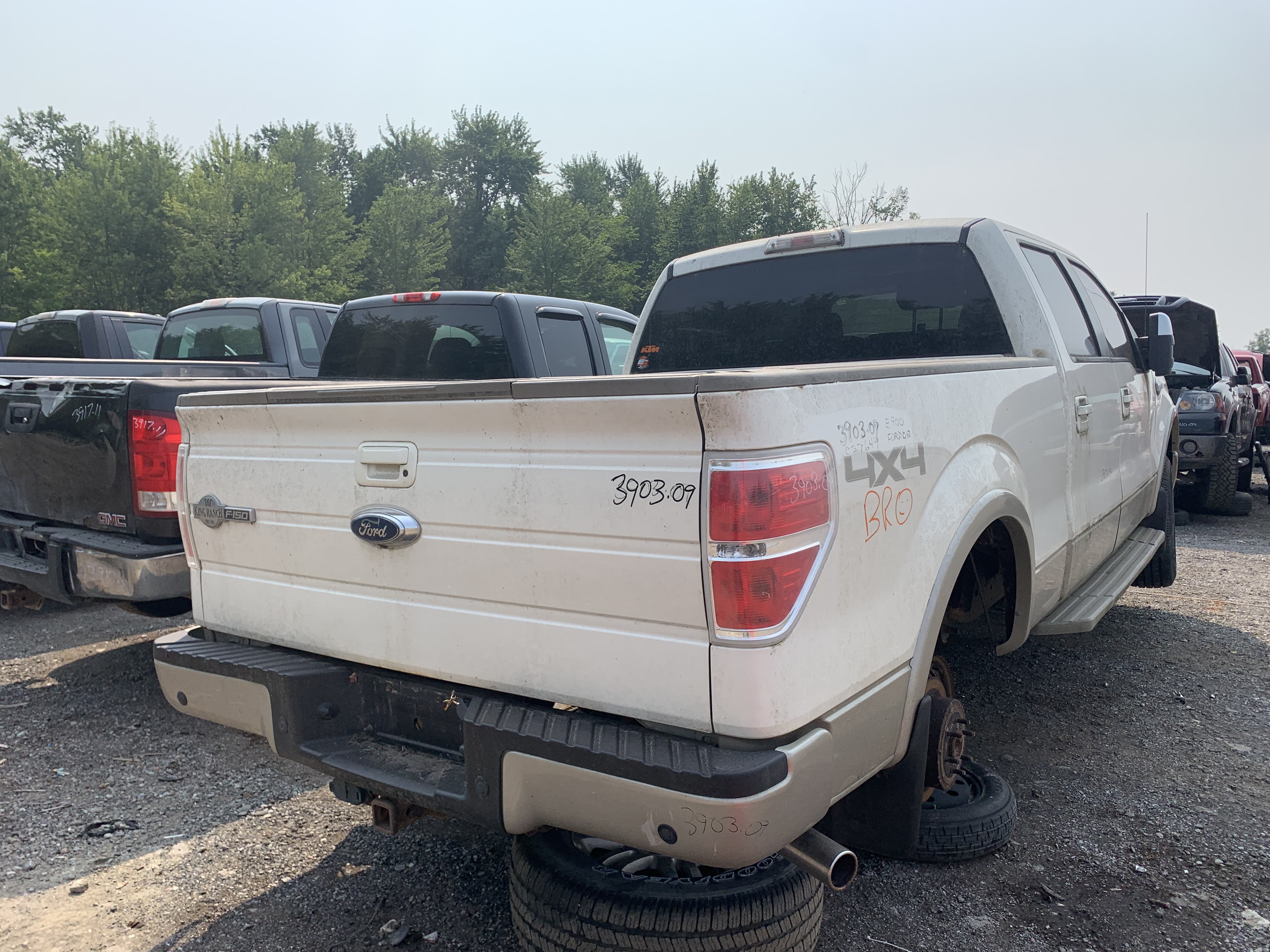 FORD F-150 2009