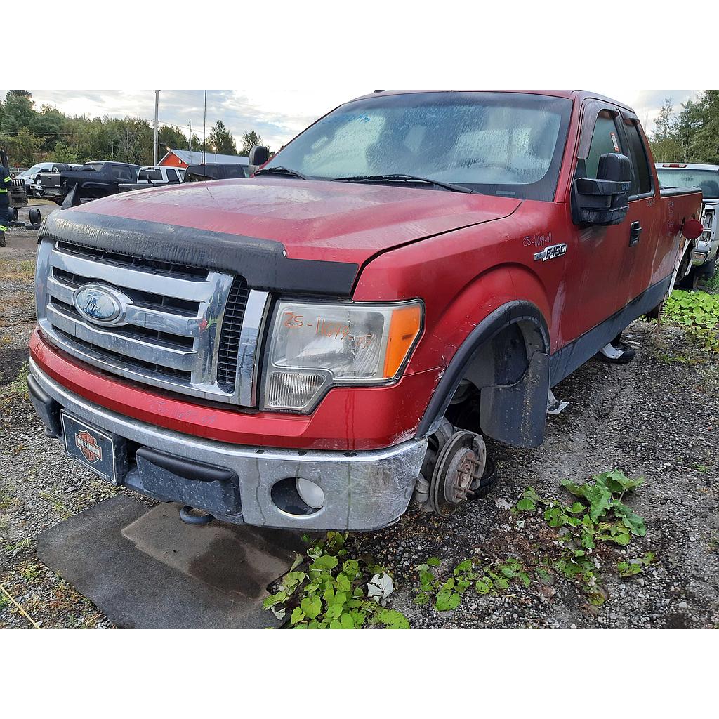 FORD F-150 2009