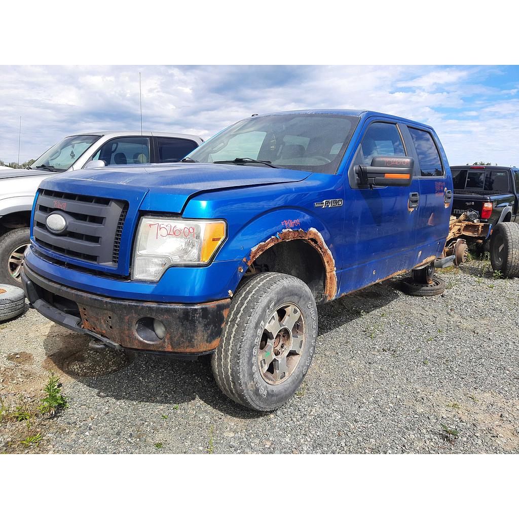 FORD F-150 2009